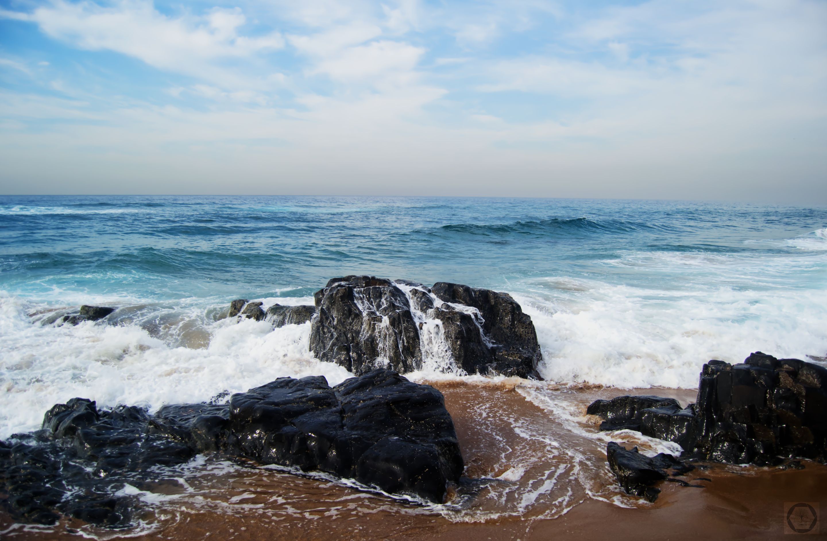 DSC_2518.jpg