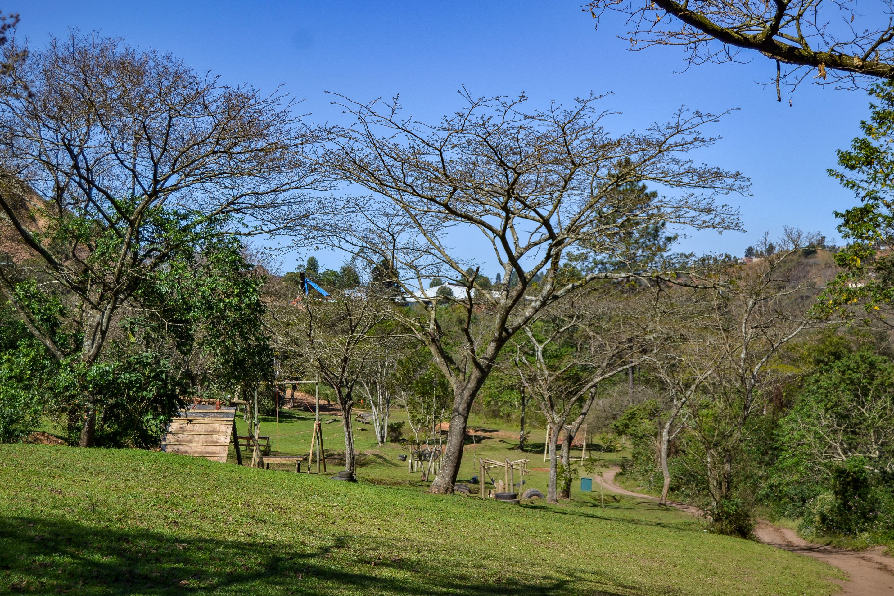 DSC_3184.jpg