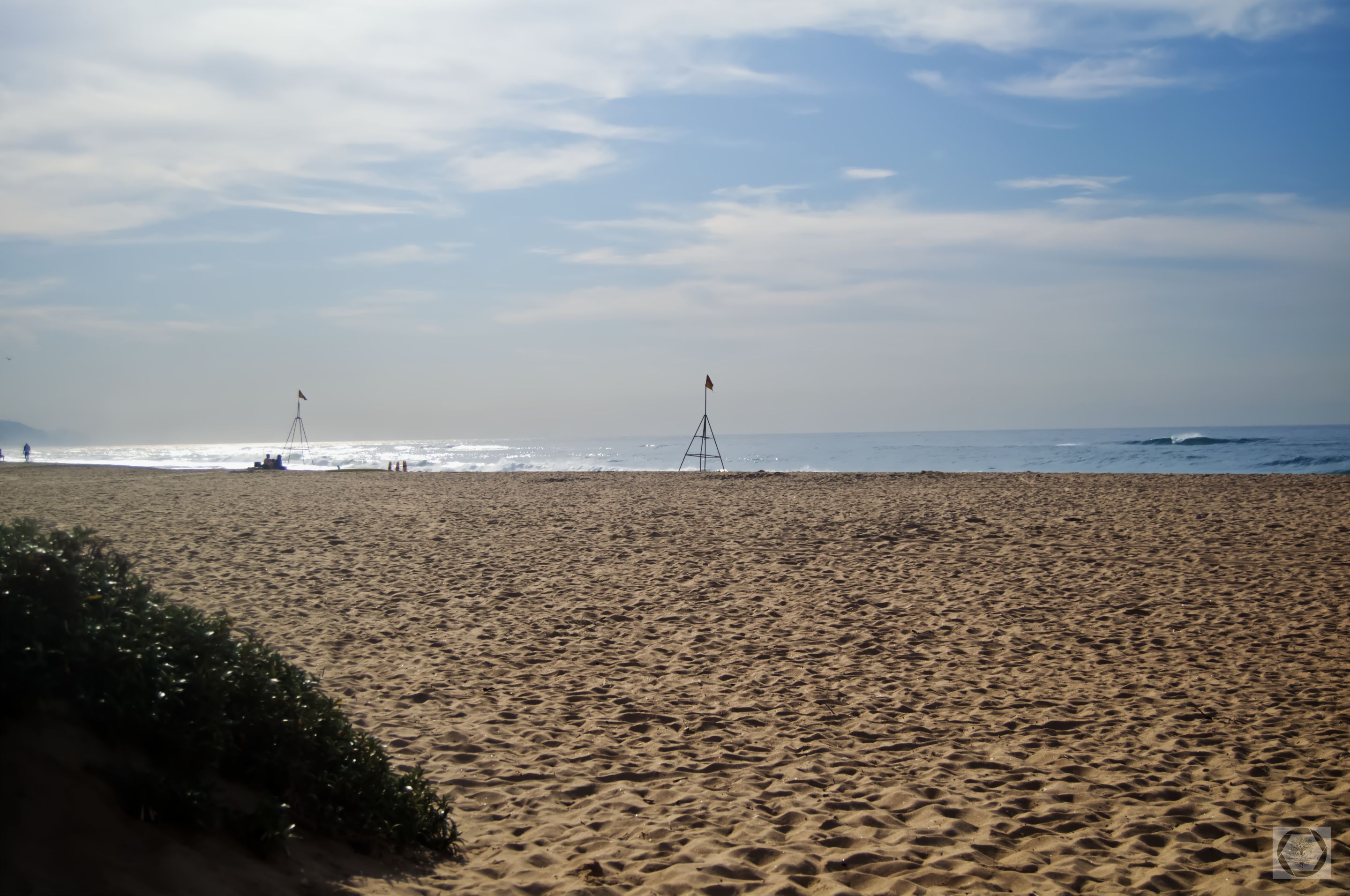 DSC_2355.jpg