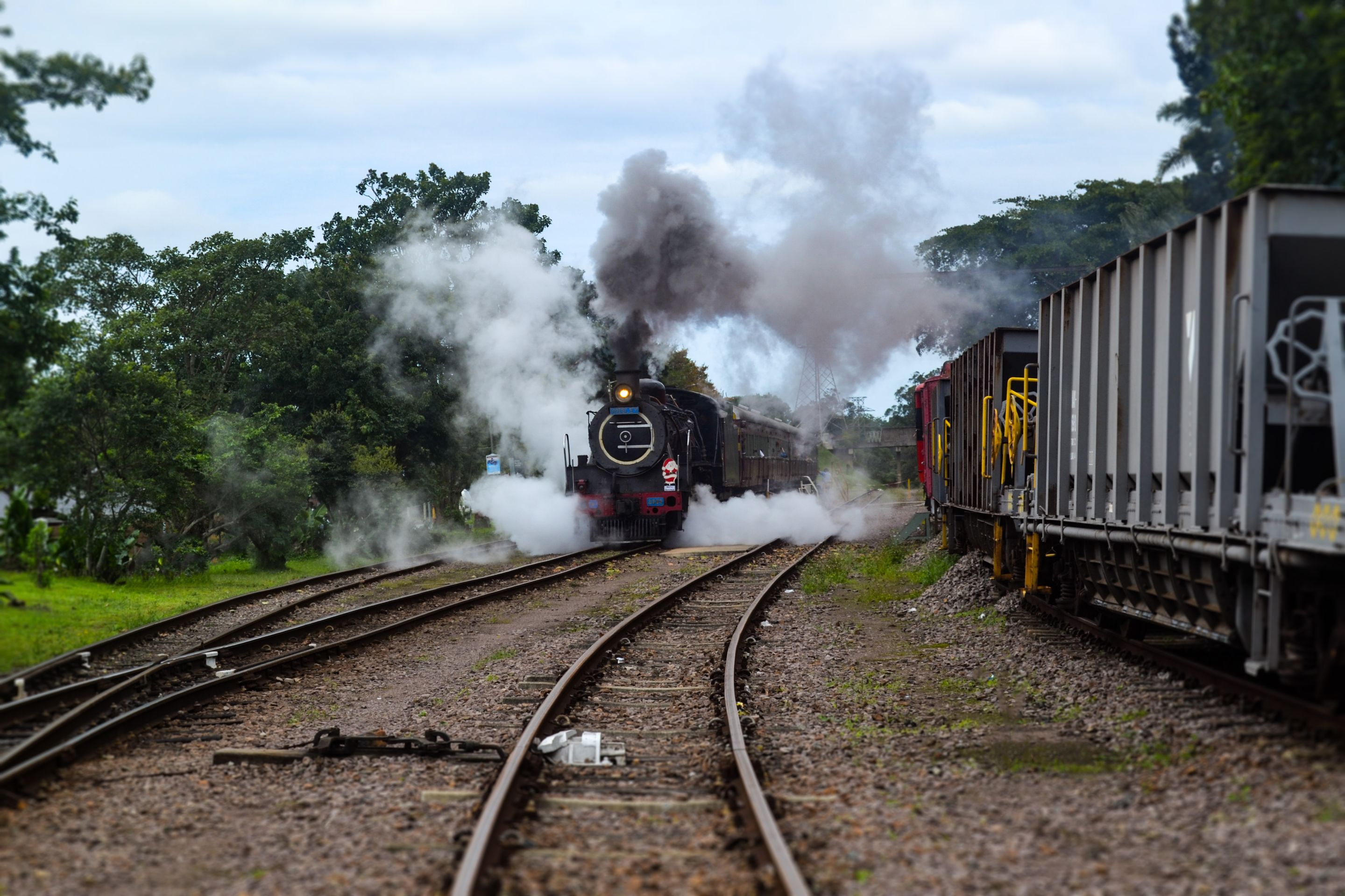 DSC_1229-2.jpg