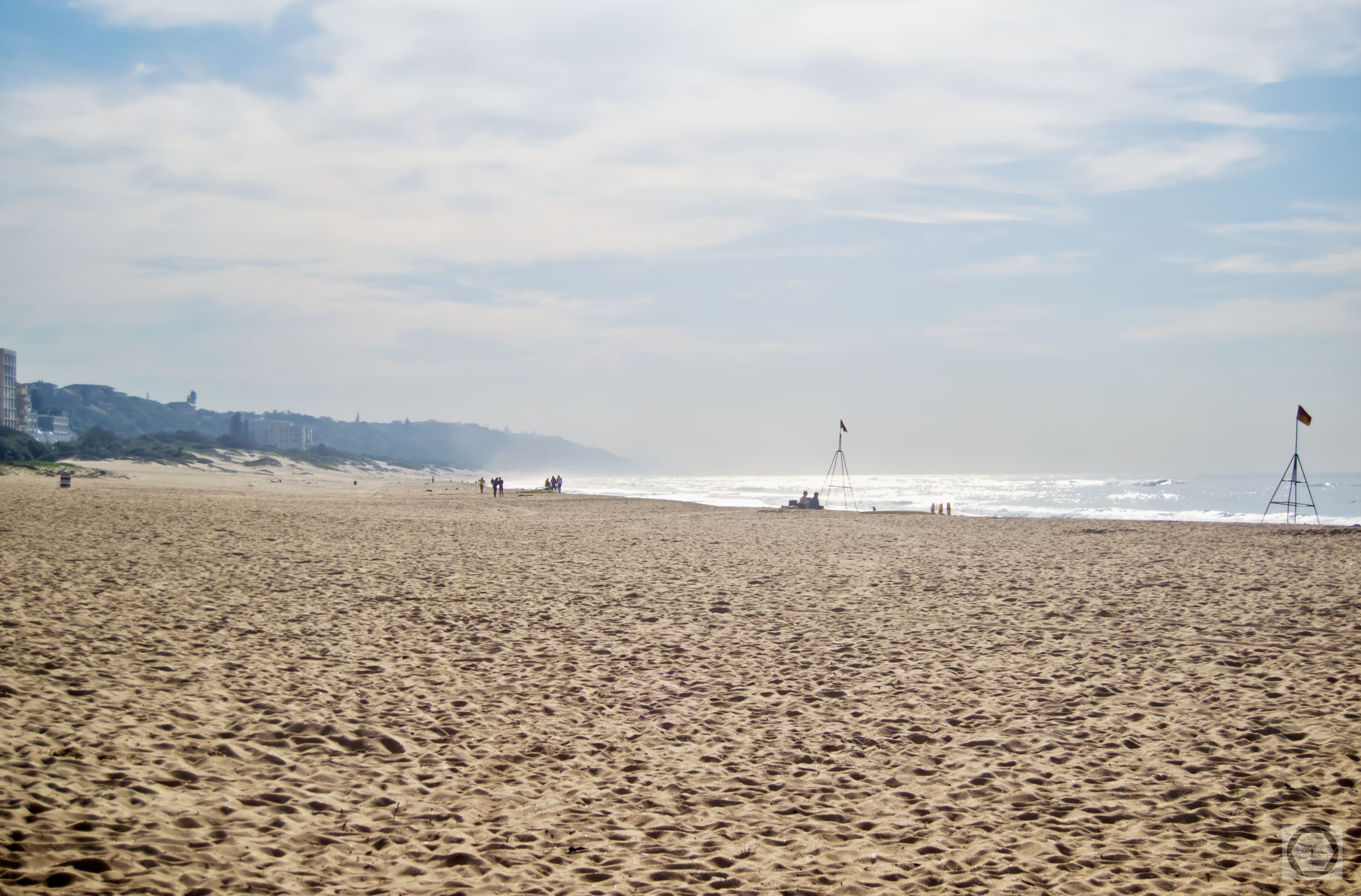 DSC_2356.jpg