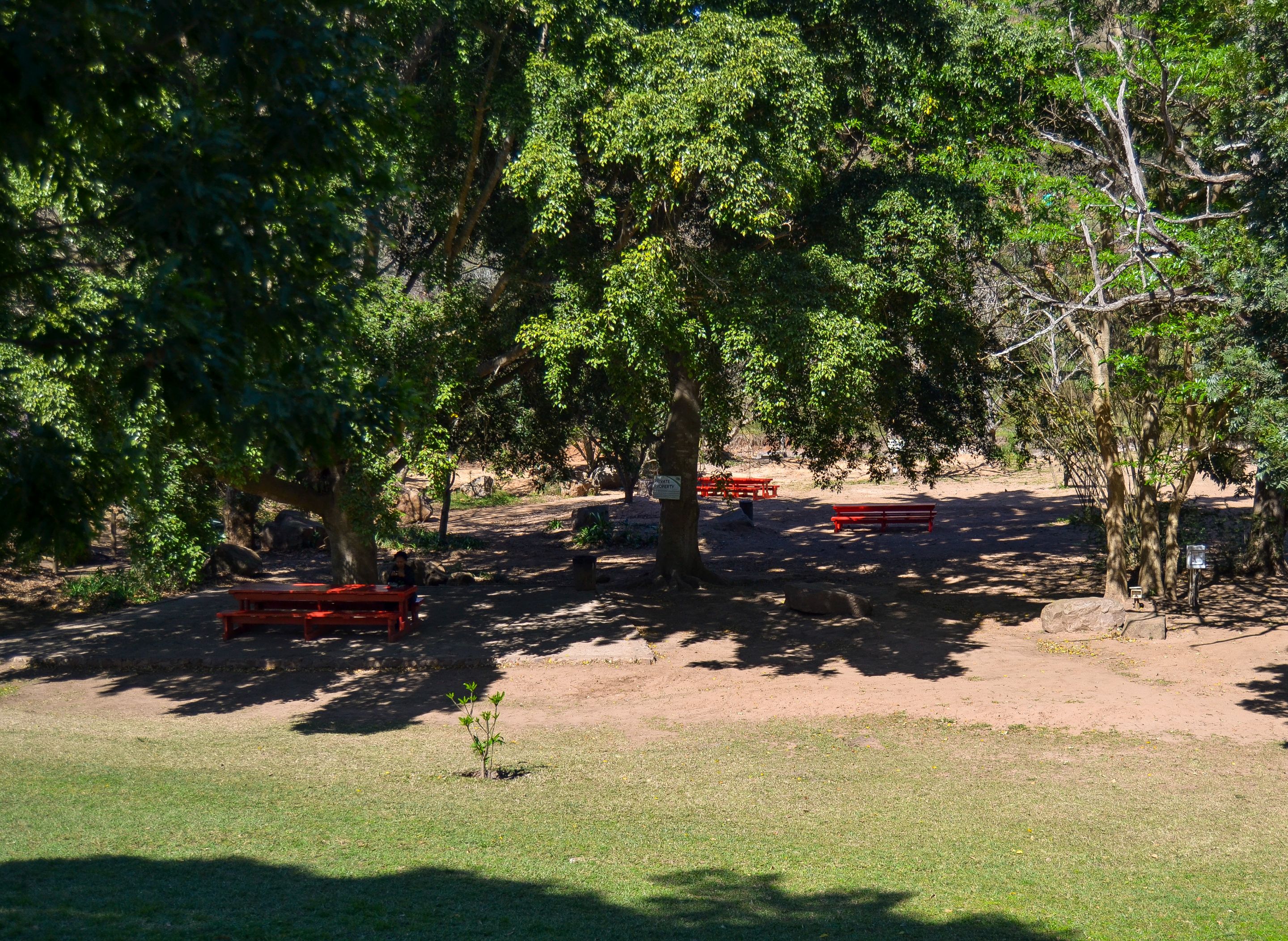 DSC_3038.jpg