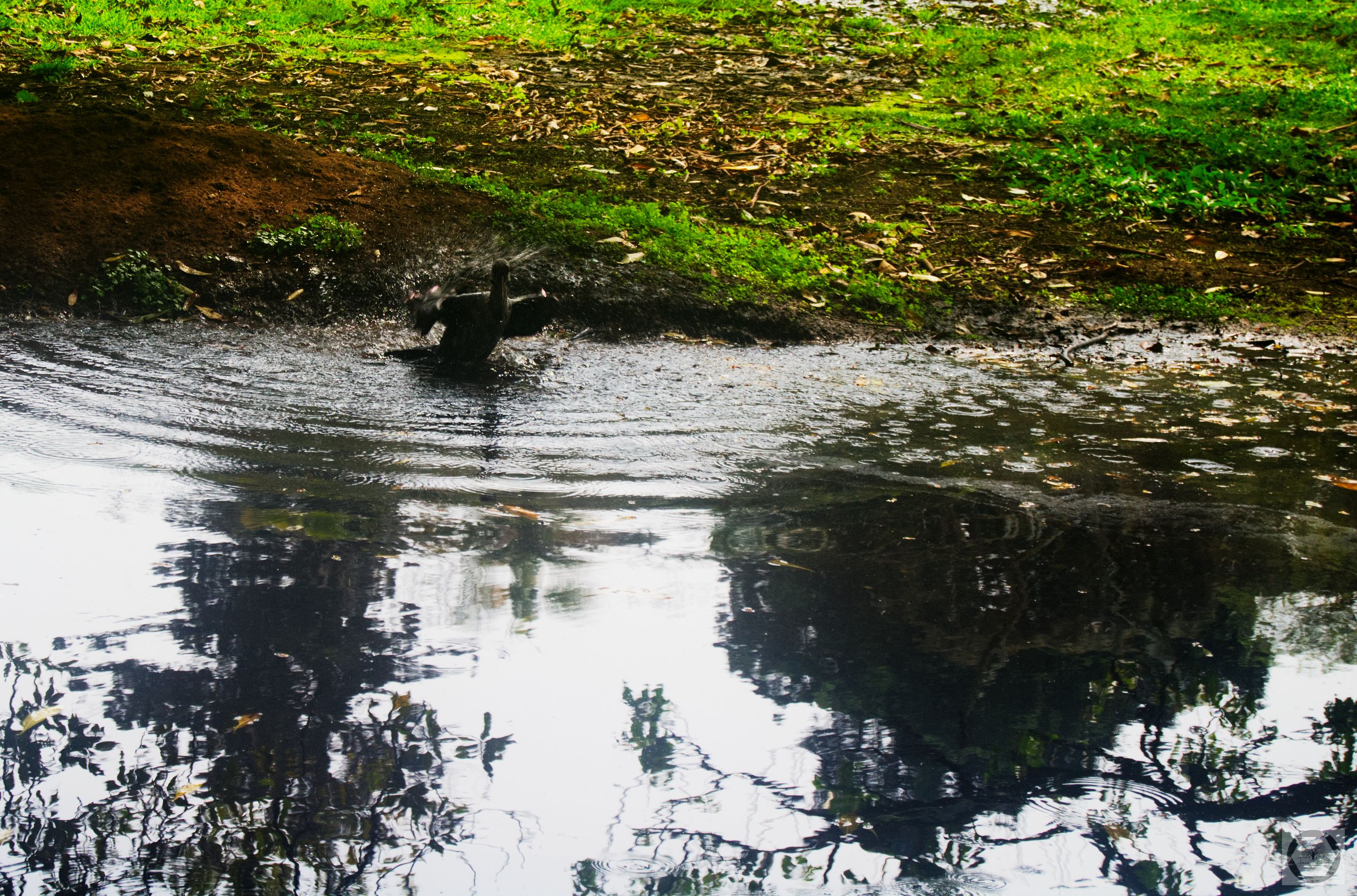 DSC_3042.jpg