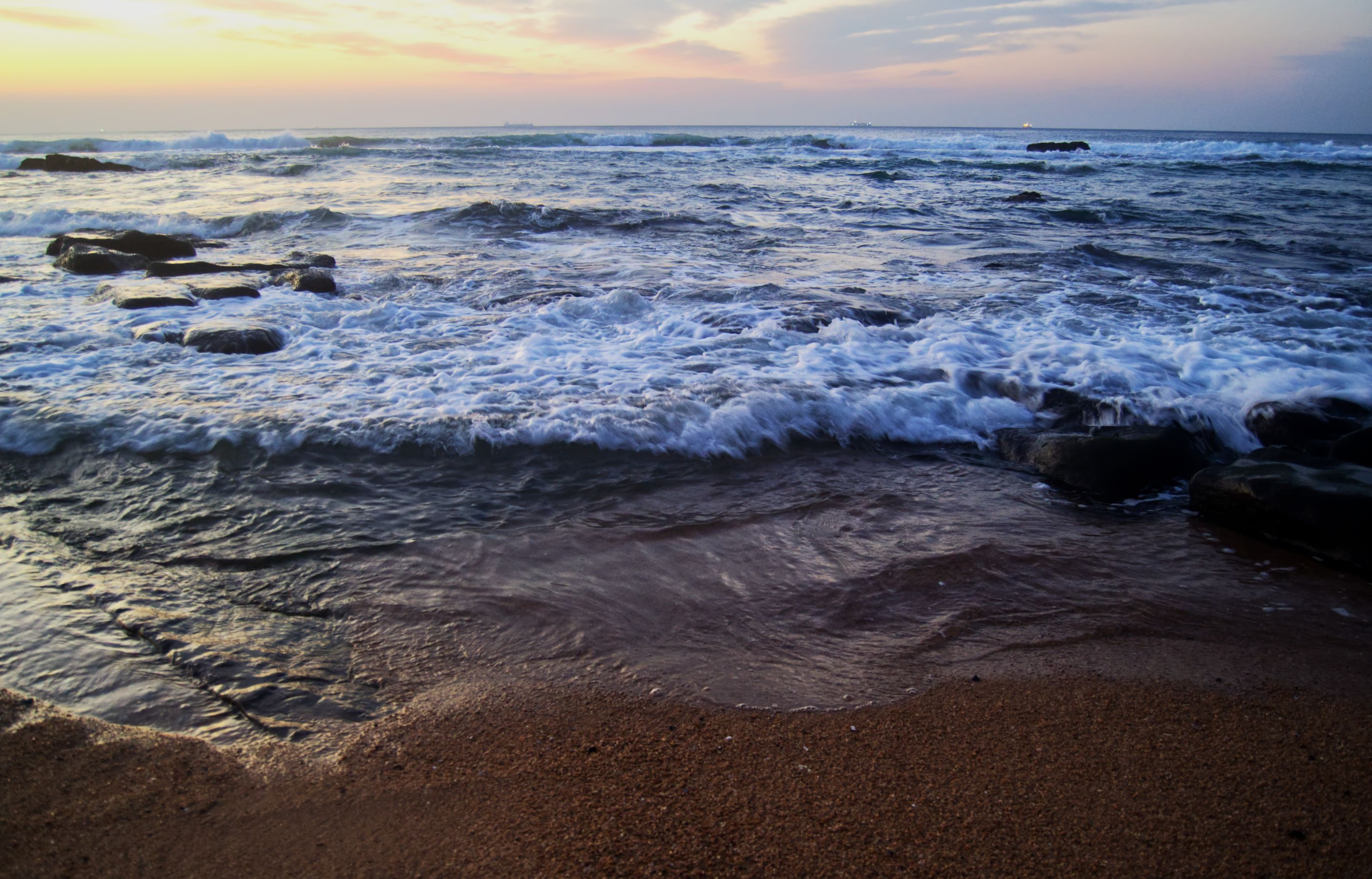 DSC_1719.jpg