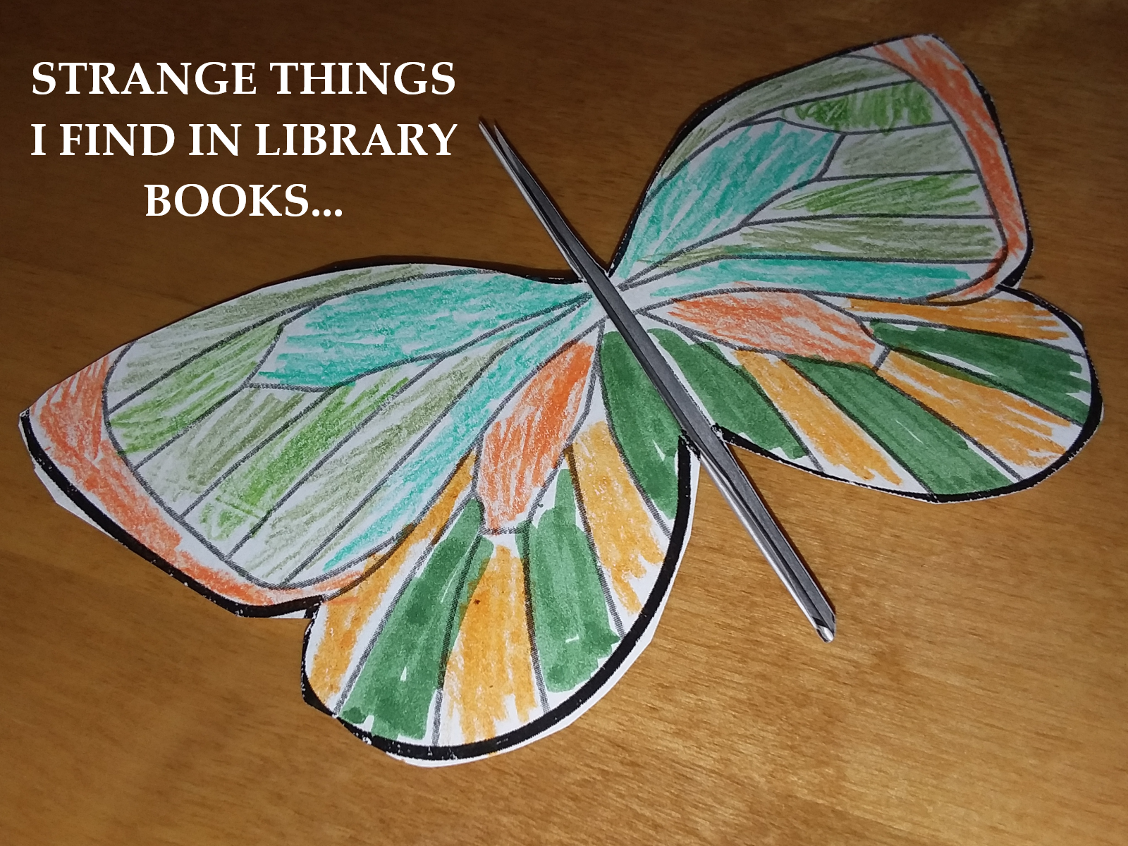 bookfinds.png