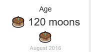 Screenshot 2025-08-11.png