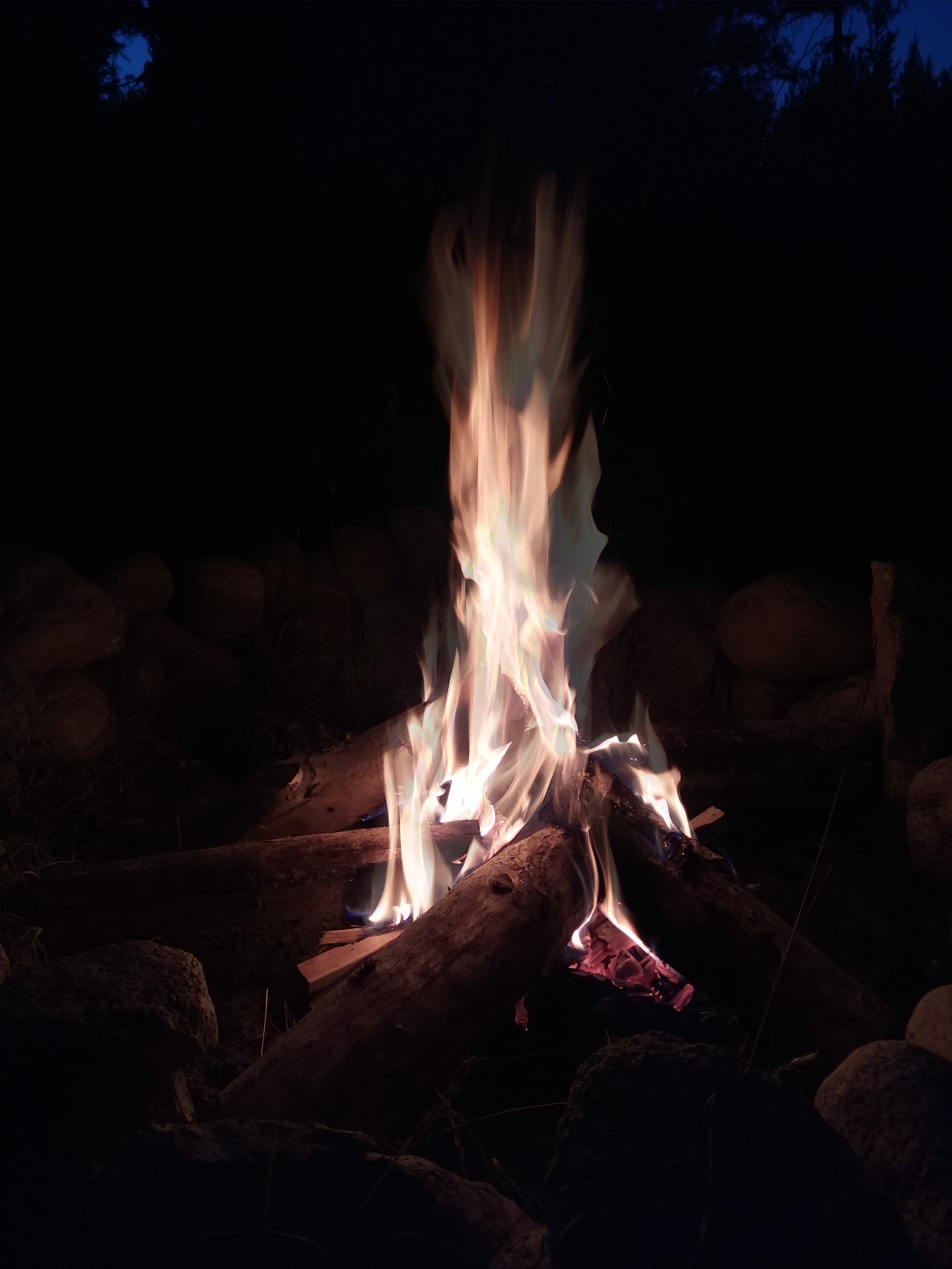 20200812_204354.jpg