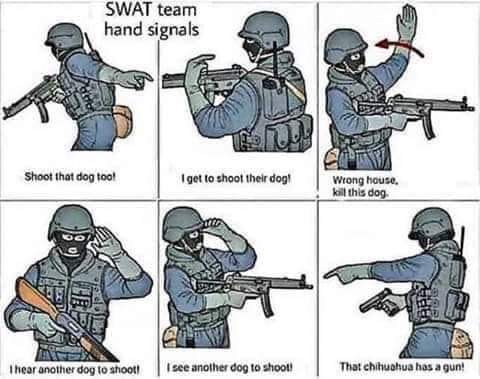 FB_IMG_1574392217948.jpg