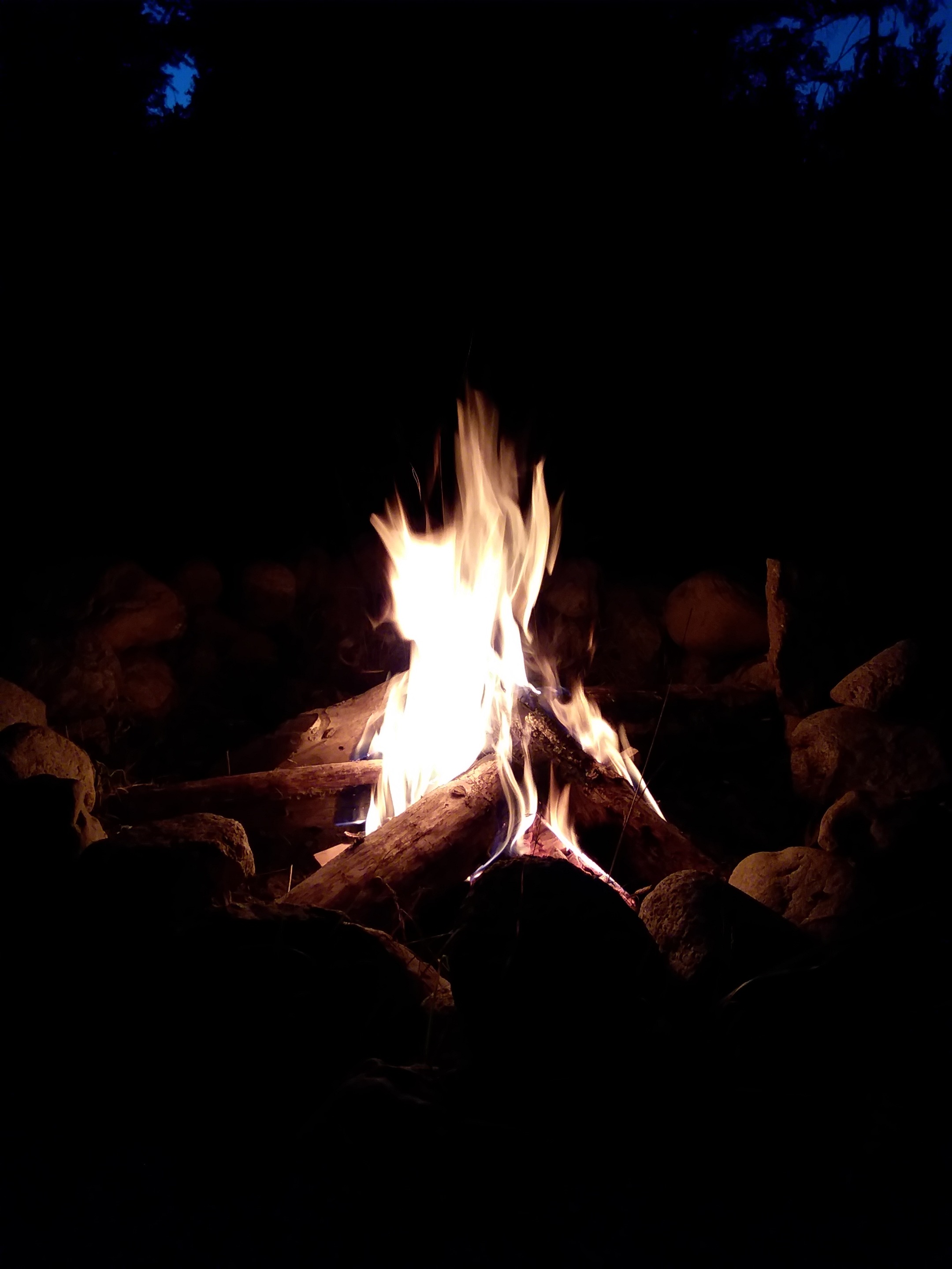 20200812_204500.jpg