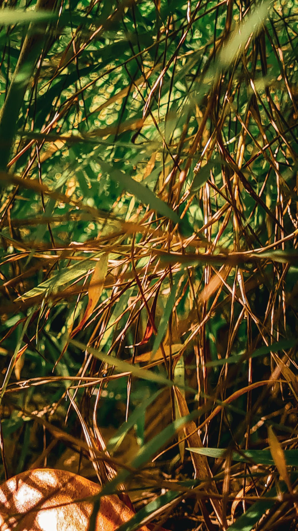 20231022_144335.jpg