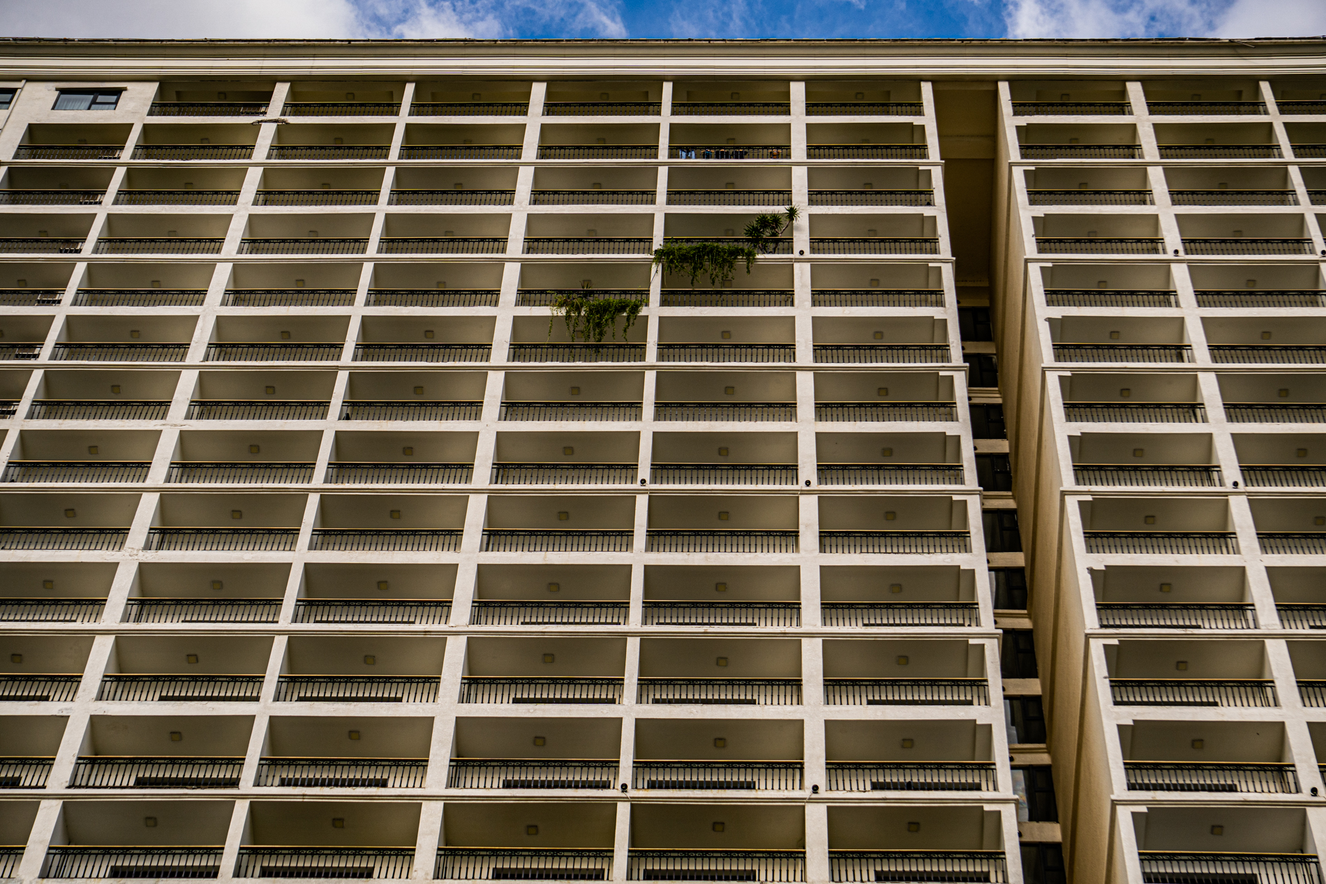 Walk_014_20200808.jpg