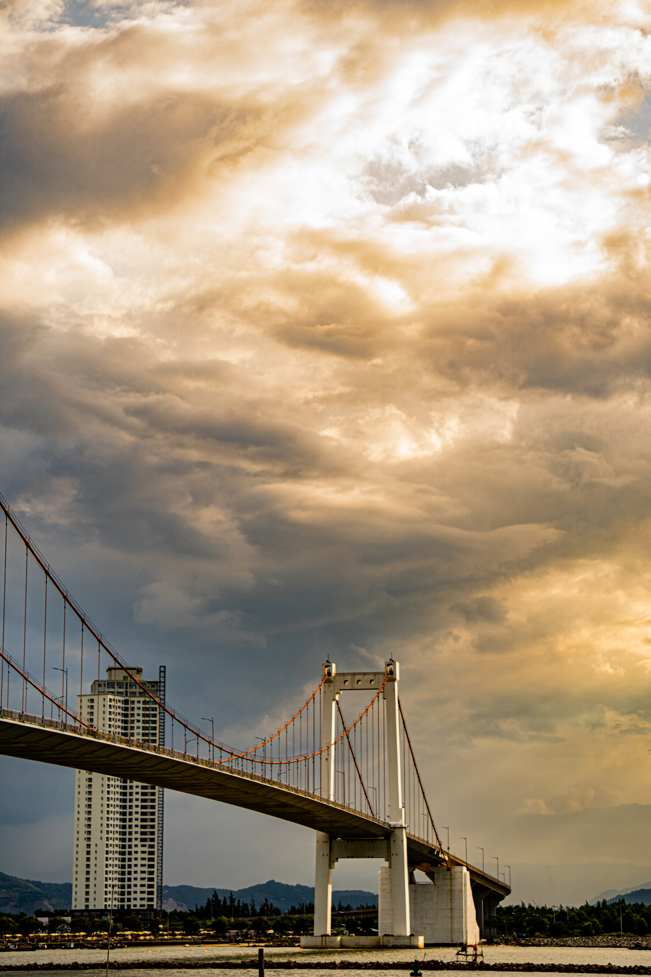 Walk_012_20200808.jpg