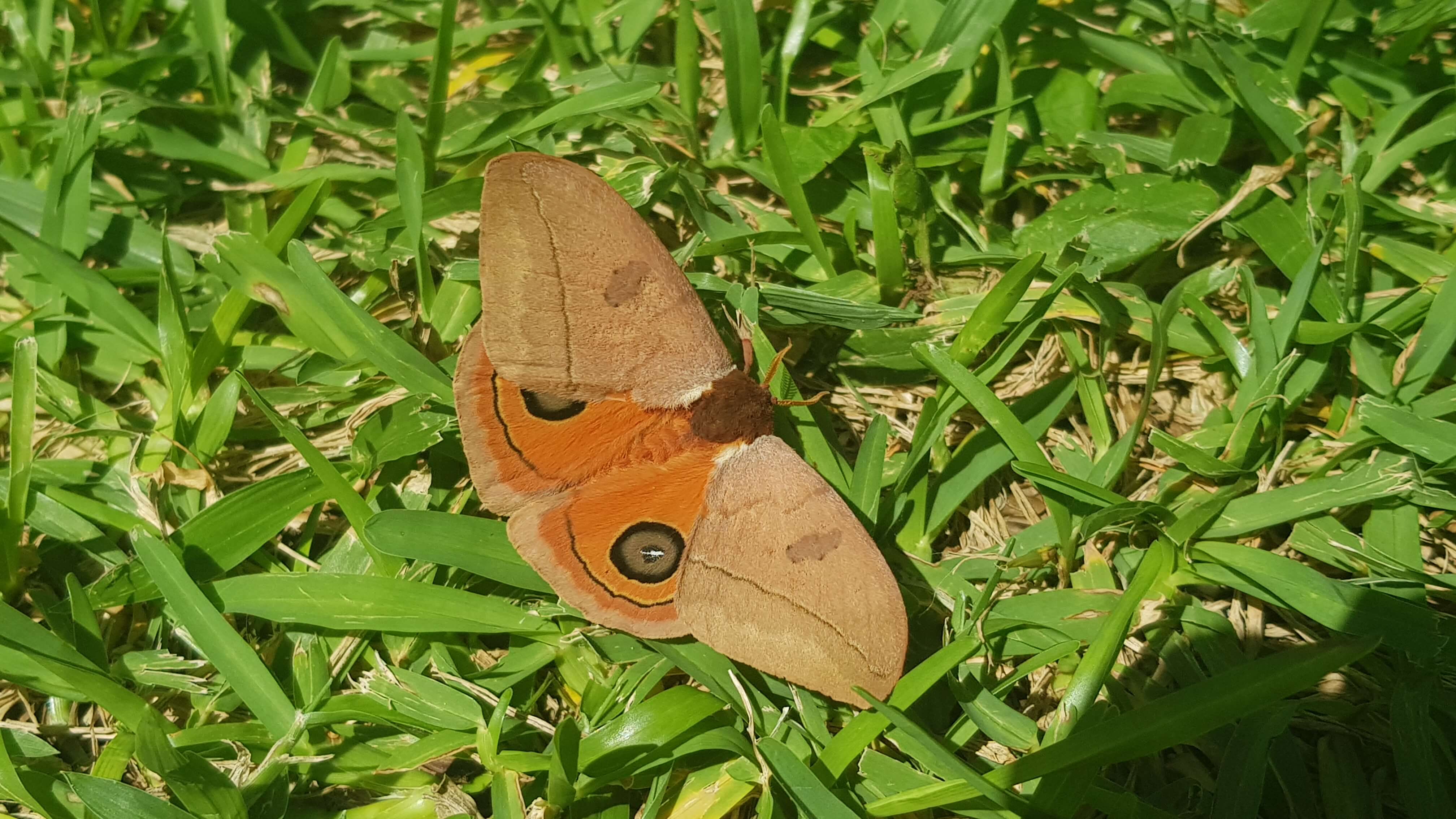 20230908_161556.jpg