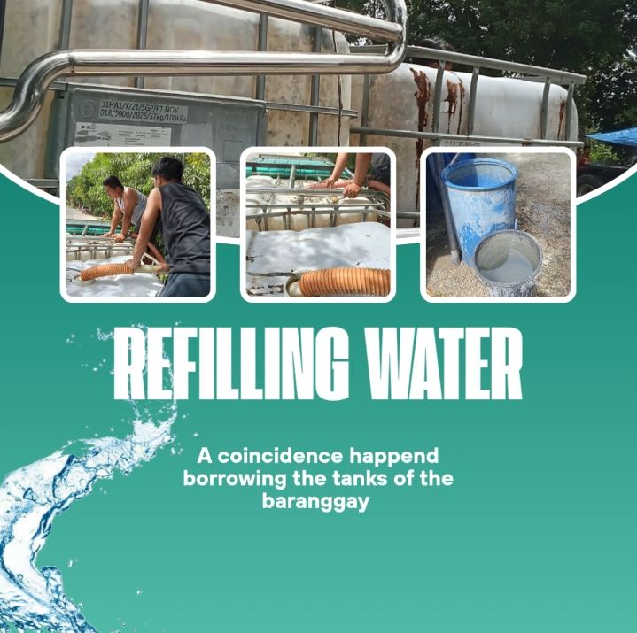 Back …
Payout: 34.403 HBDAutumn in Portugal🌍🍂 / Otoño en Portugal🏞️🍁 (En-Es)
2025-10-30 14:31<div class="text-justify">Hello fellow adventurers and nature lovers! Today I'm here in this beautiful community to show you the orange face of Portugal. In autumn, all the ecosyst…
Payout: 13.977 HBDBorrowed Tanks, Big Gratitude
2025-10-24 10:55![1000050903.jpg