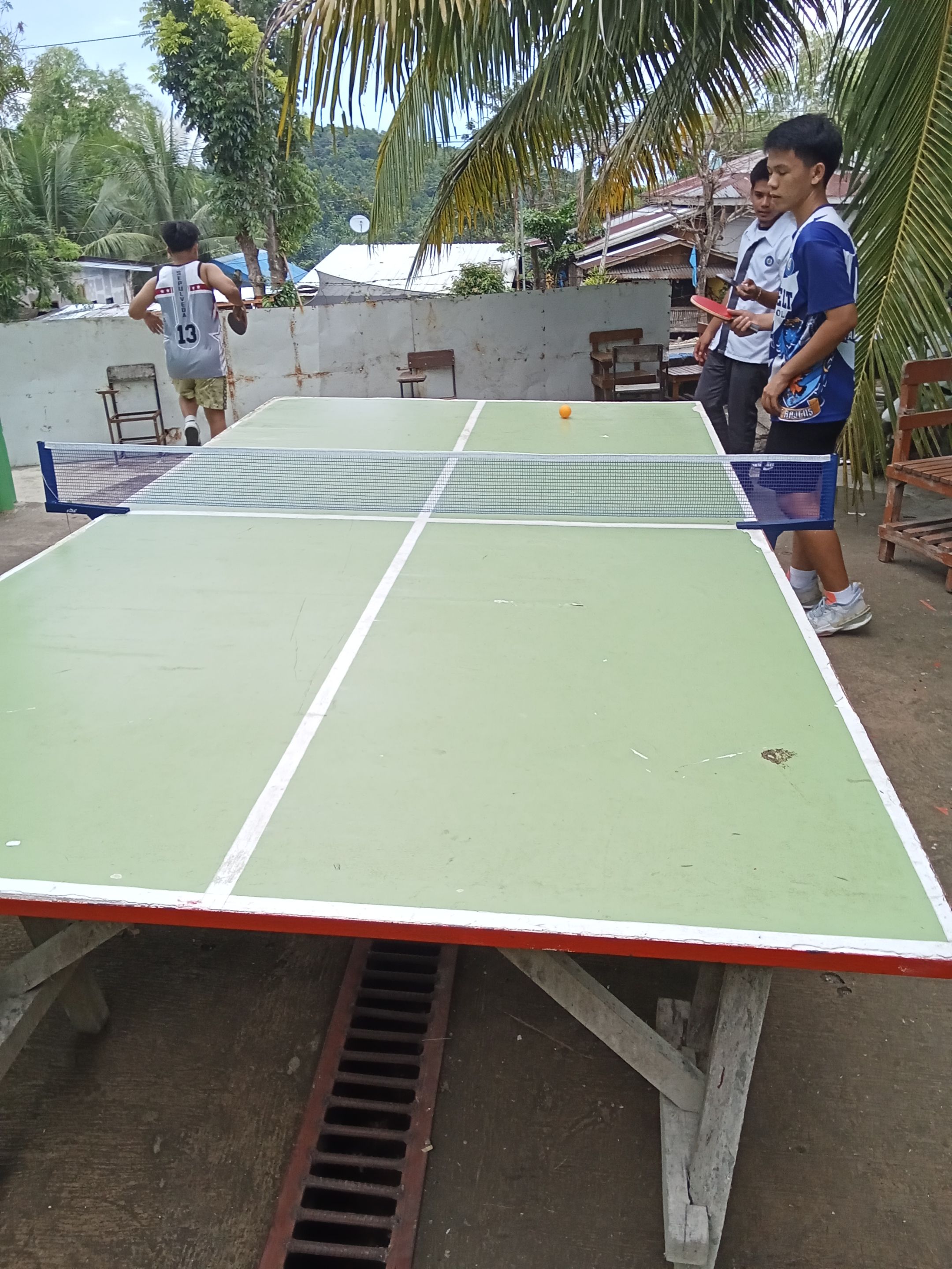 1000050375.jpg