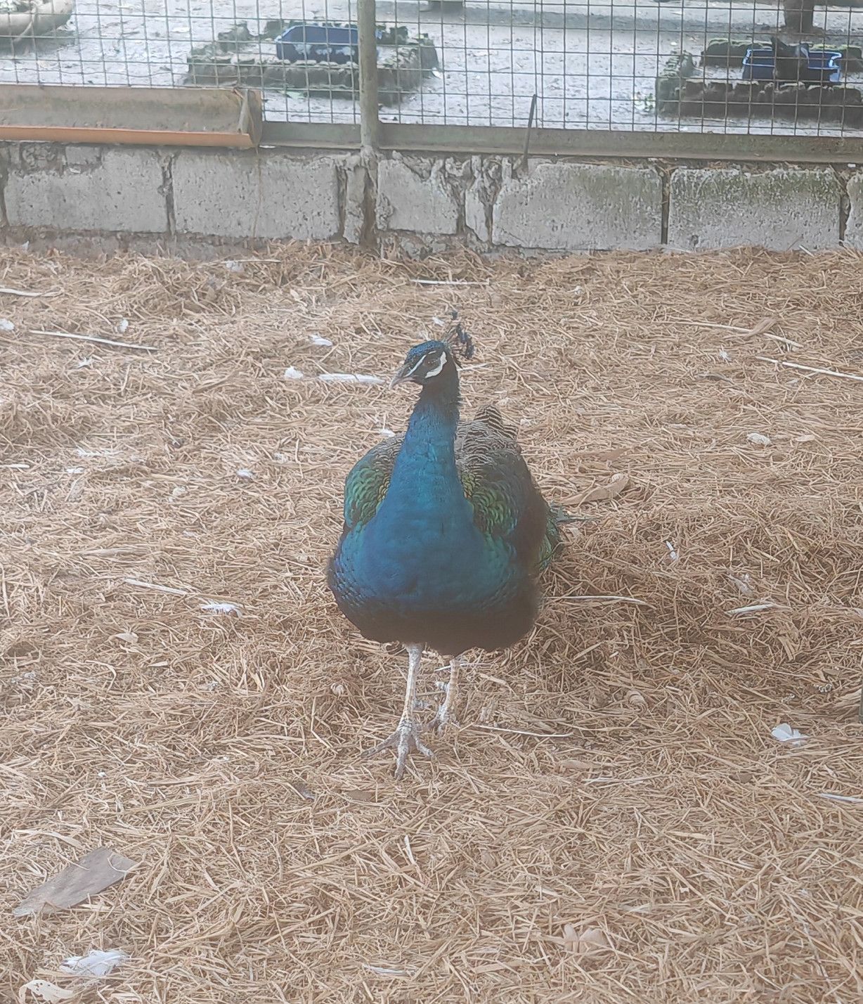 23uQzt6PuAPuuCwij5zaKLpLCeBvzSV3gCKAcfzQJDC9nVgn5dmxuDj9vgUcxPDCd2EPa.jpg