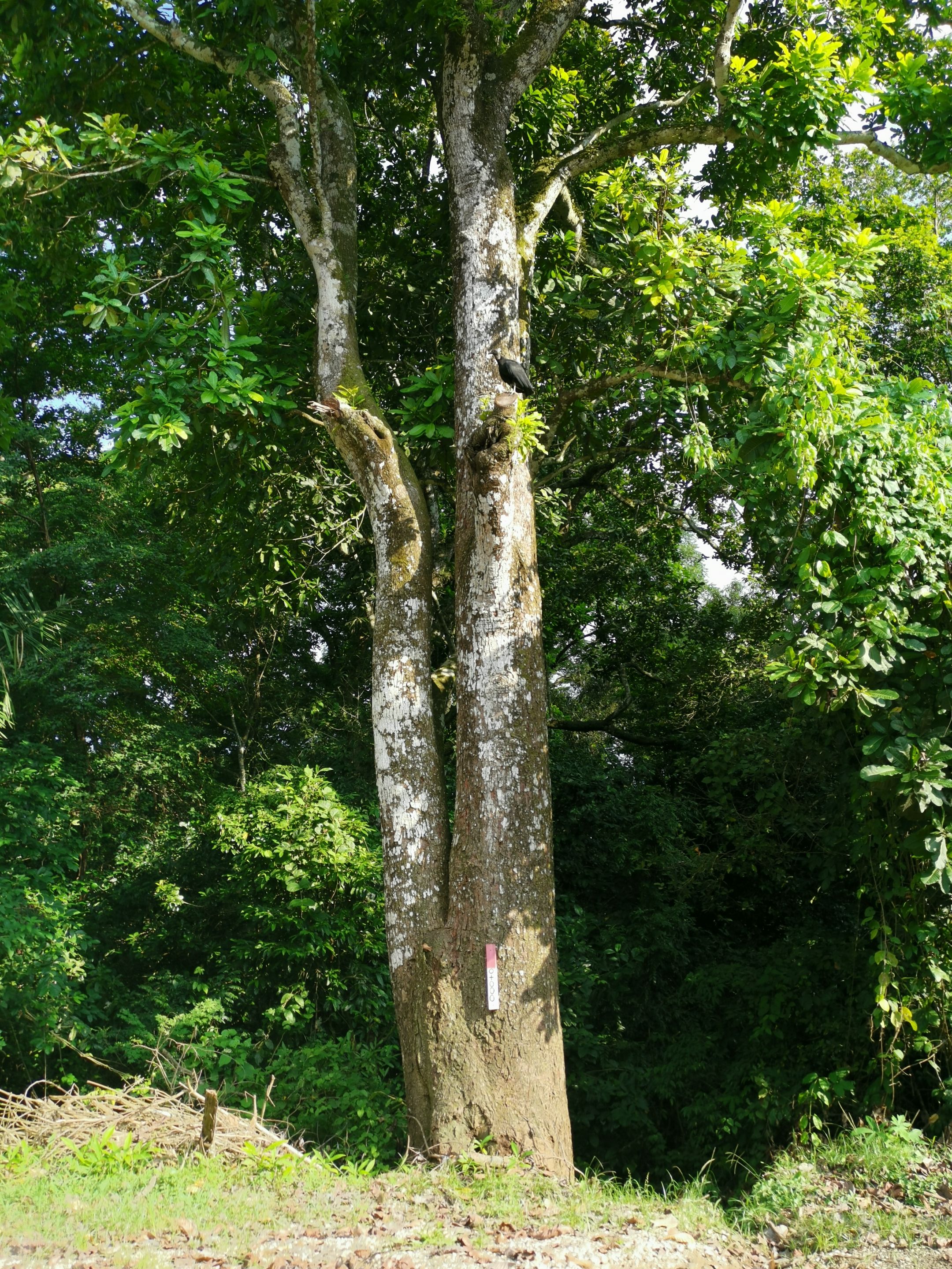 23wWpfRZaPPZh2dsHn8qva4oegvKB4sdri58B9vBtePKceZf58sPU9Qj1soJKgXmL6i1h.jpg