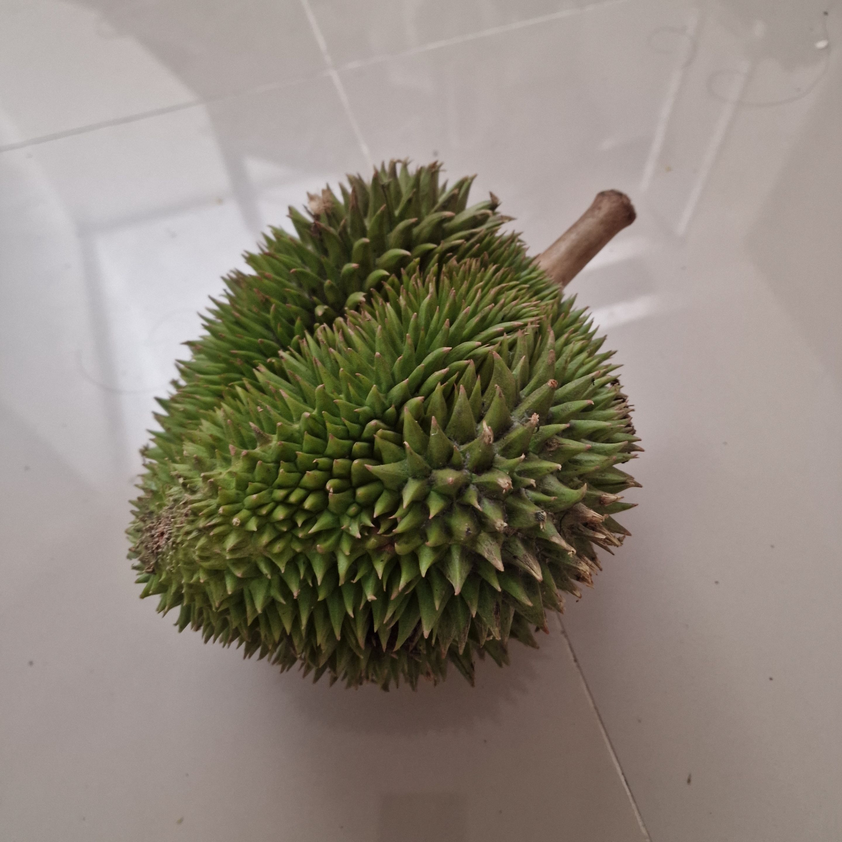 20250918_155207.jpg