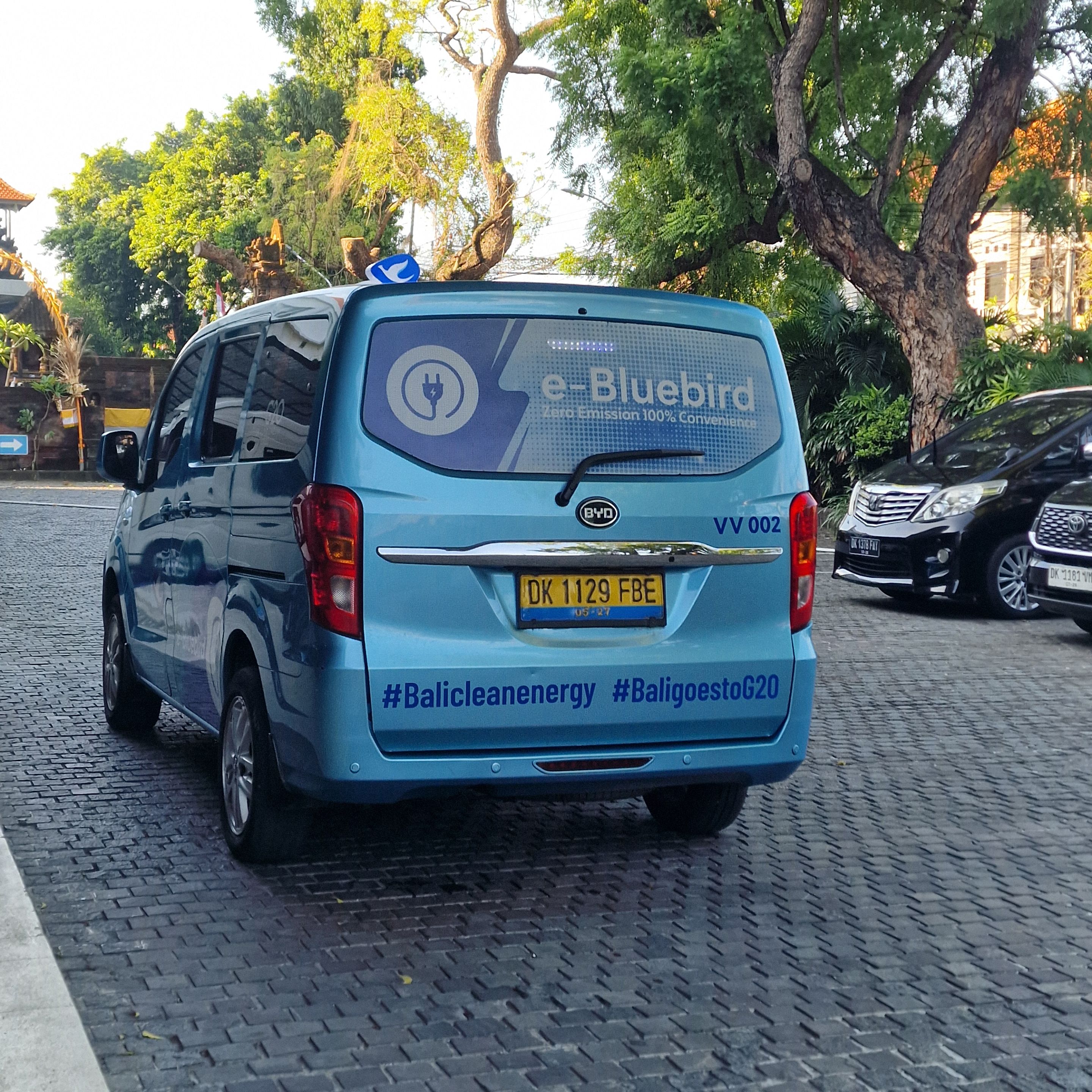 20250518_e-bluebird.jpg