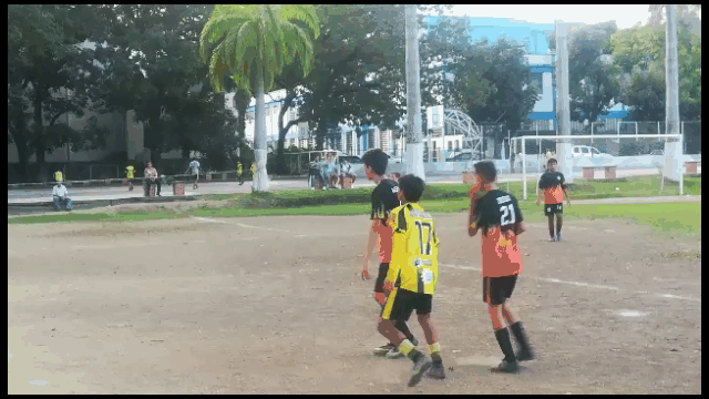 02.gif