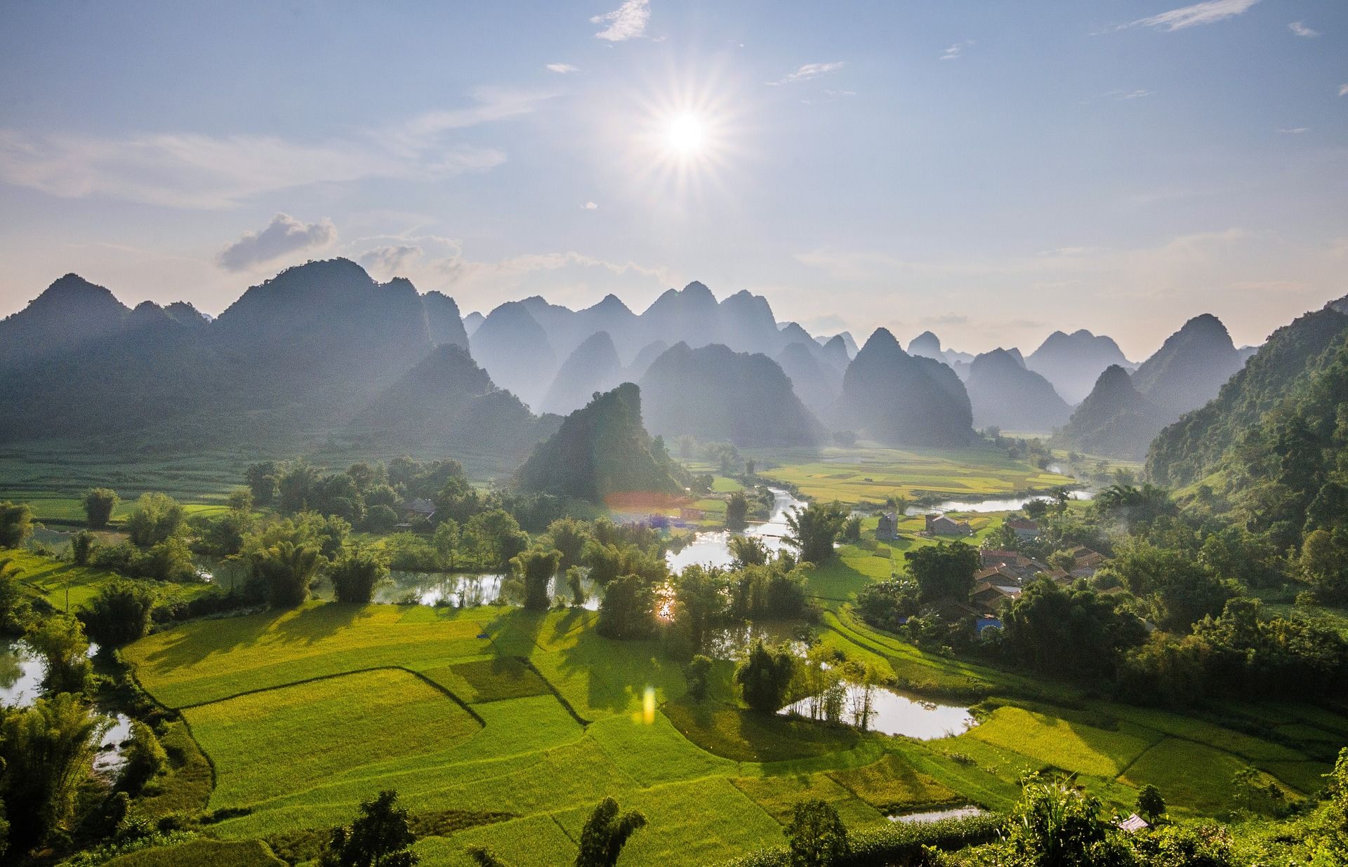 rice-fields-g6903a36ea_1920.jpg