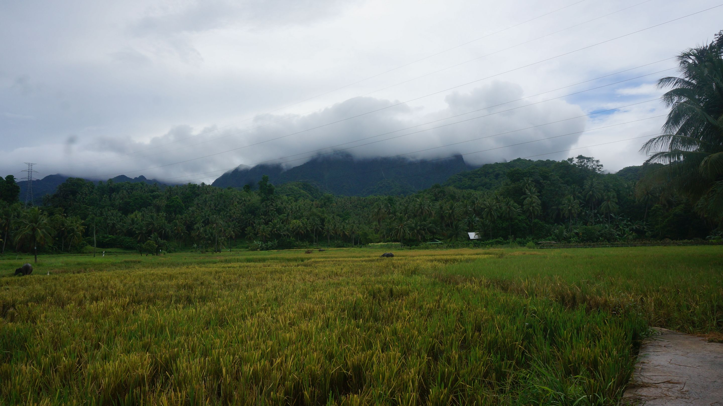 DSC04973.JPG