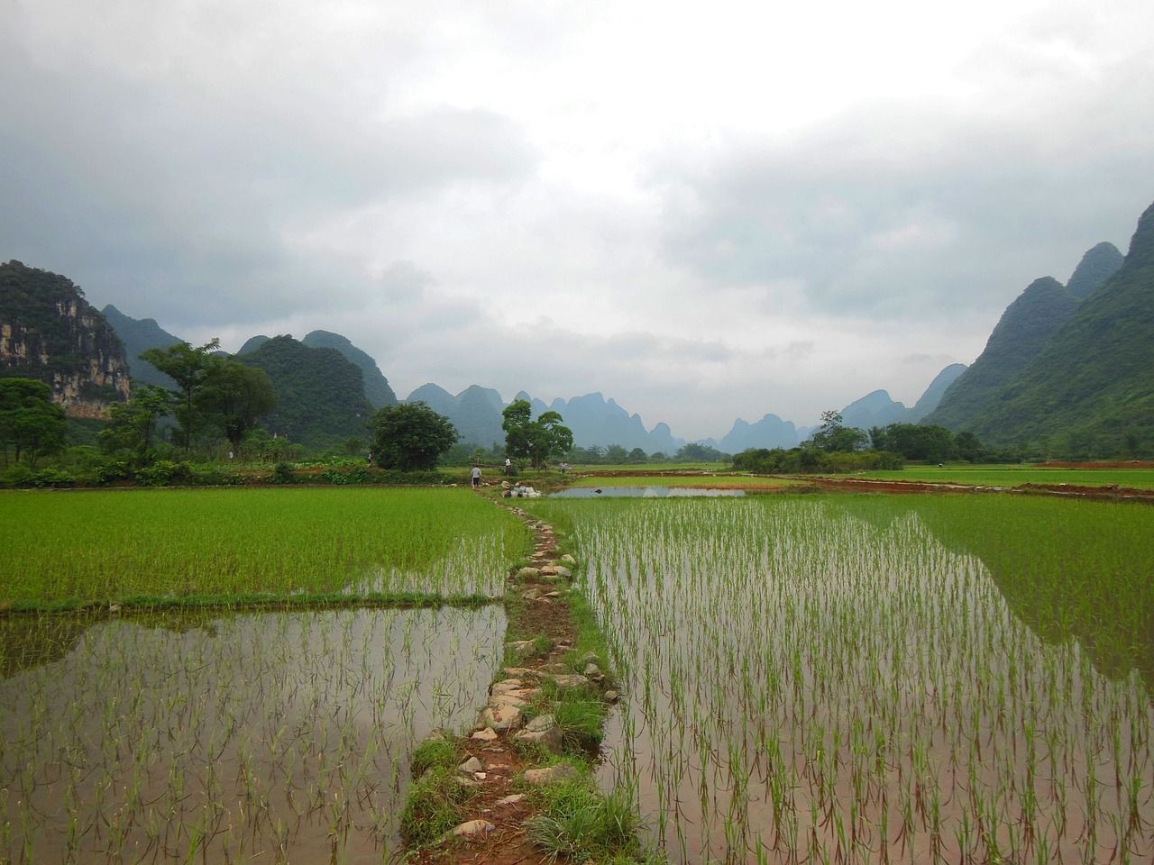 yunnan-g7650d7c69_1280.jpg