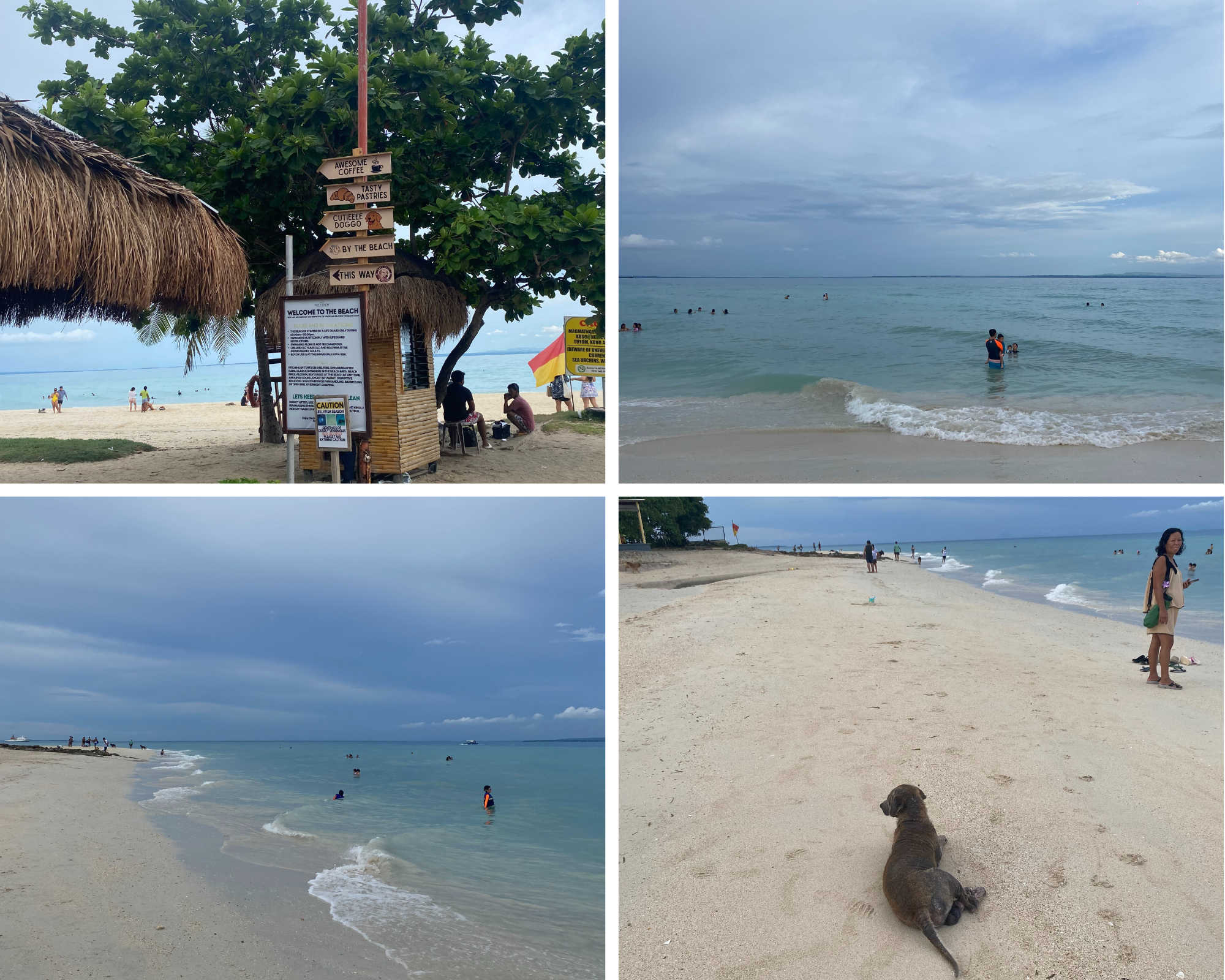 kota beach.png