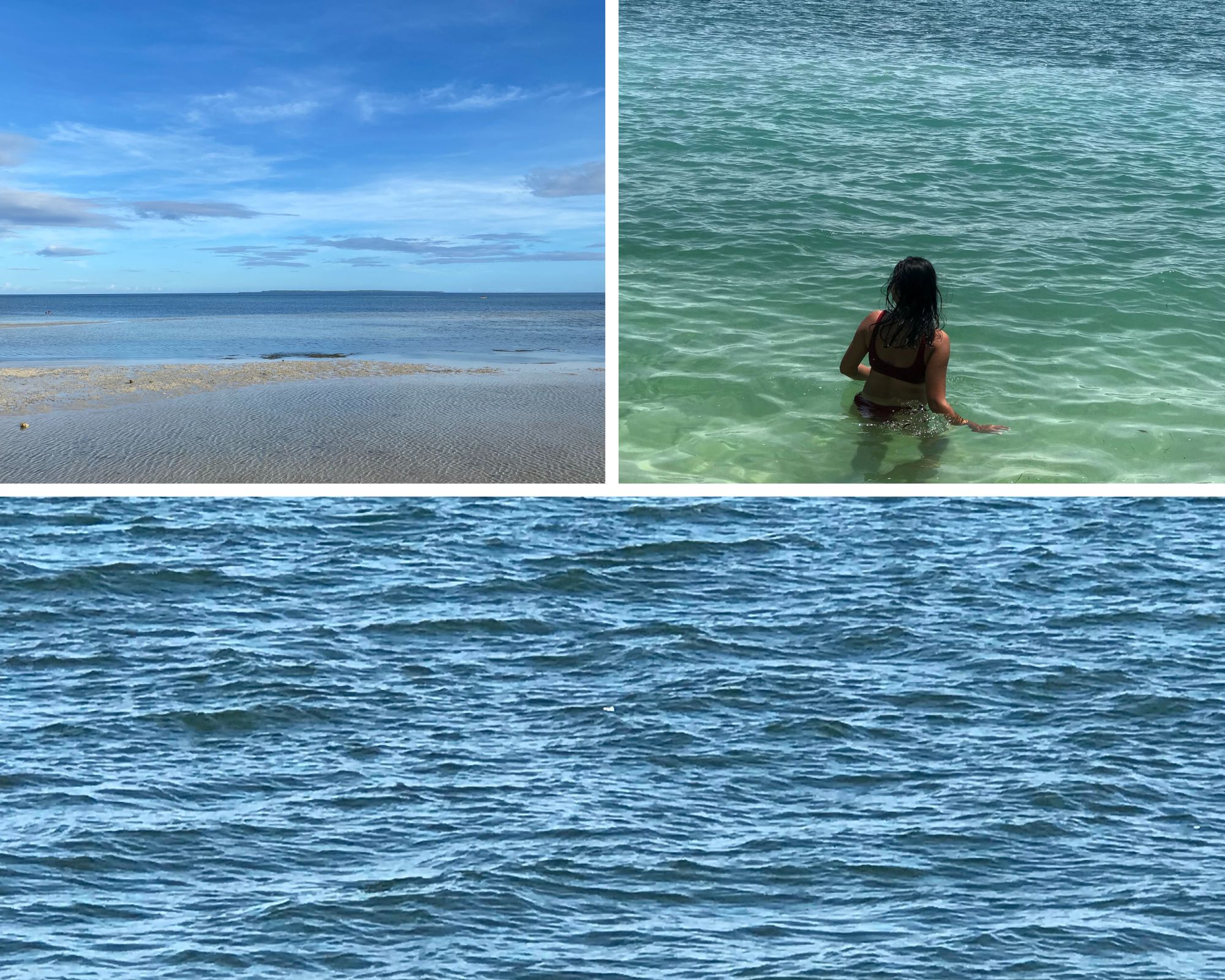 Ocean collage.jpg
