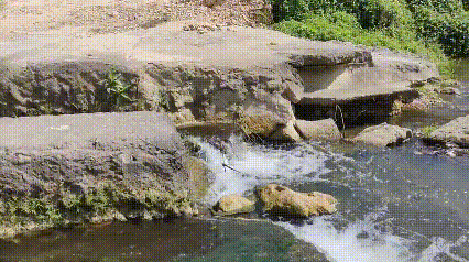 4.gif