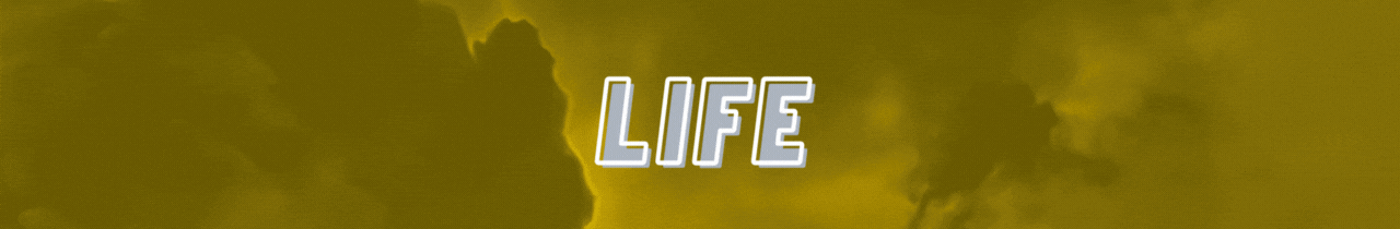 life.gif