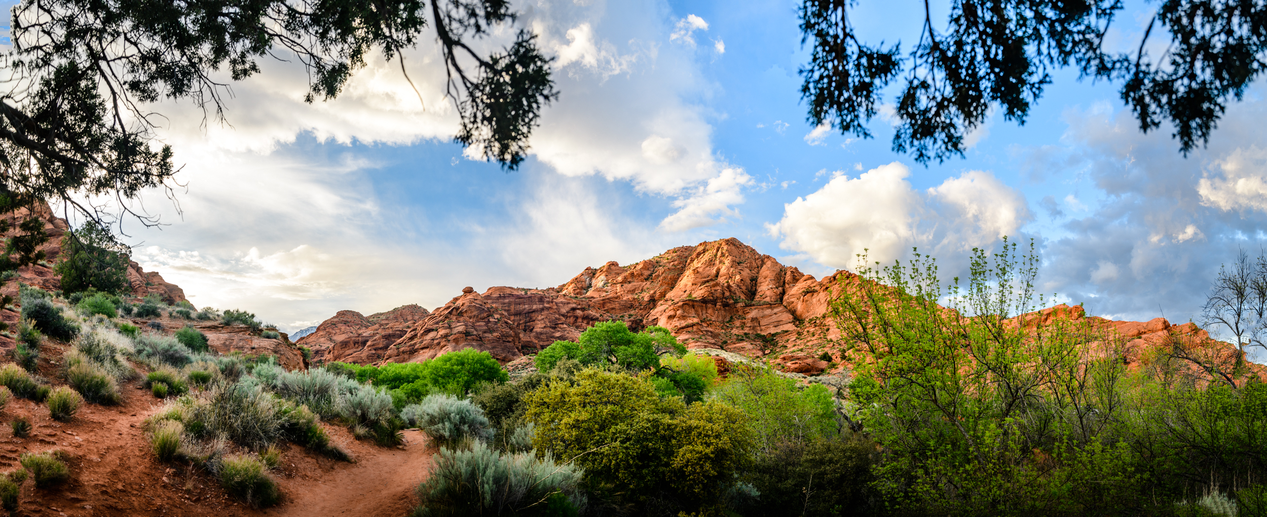 9011_85J8660Pano.jpg