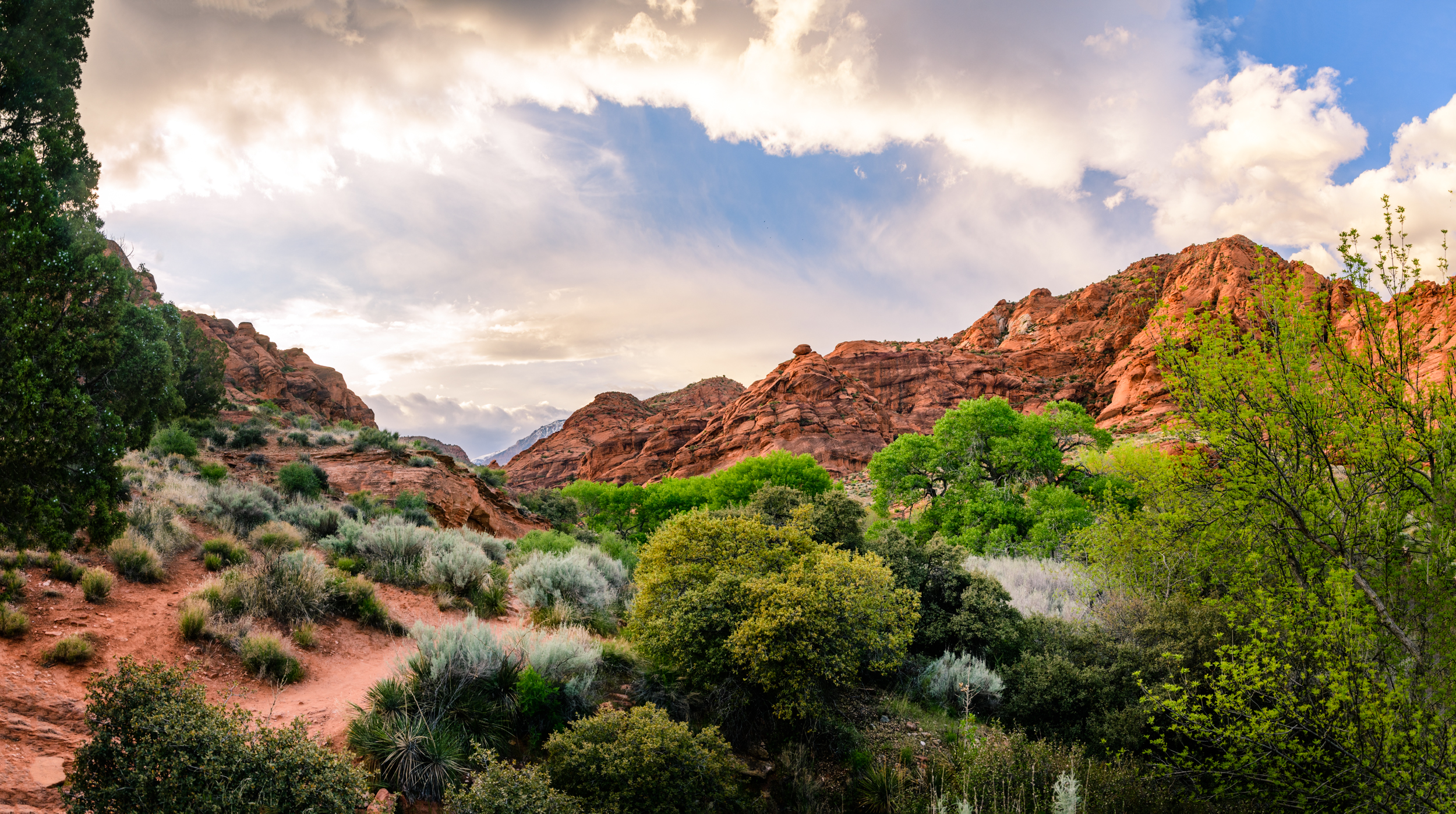 9012_85J8676Pano.jpg