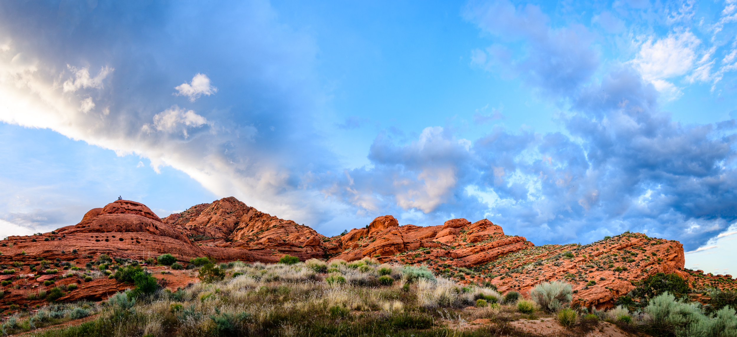 9013_85J8682Pano.jpg