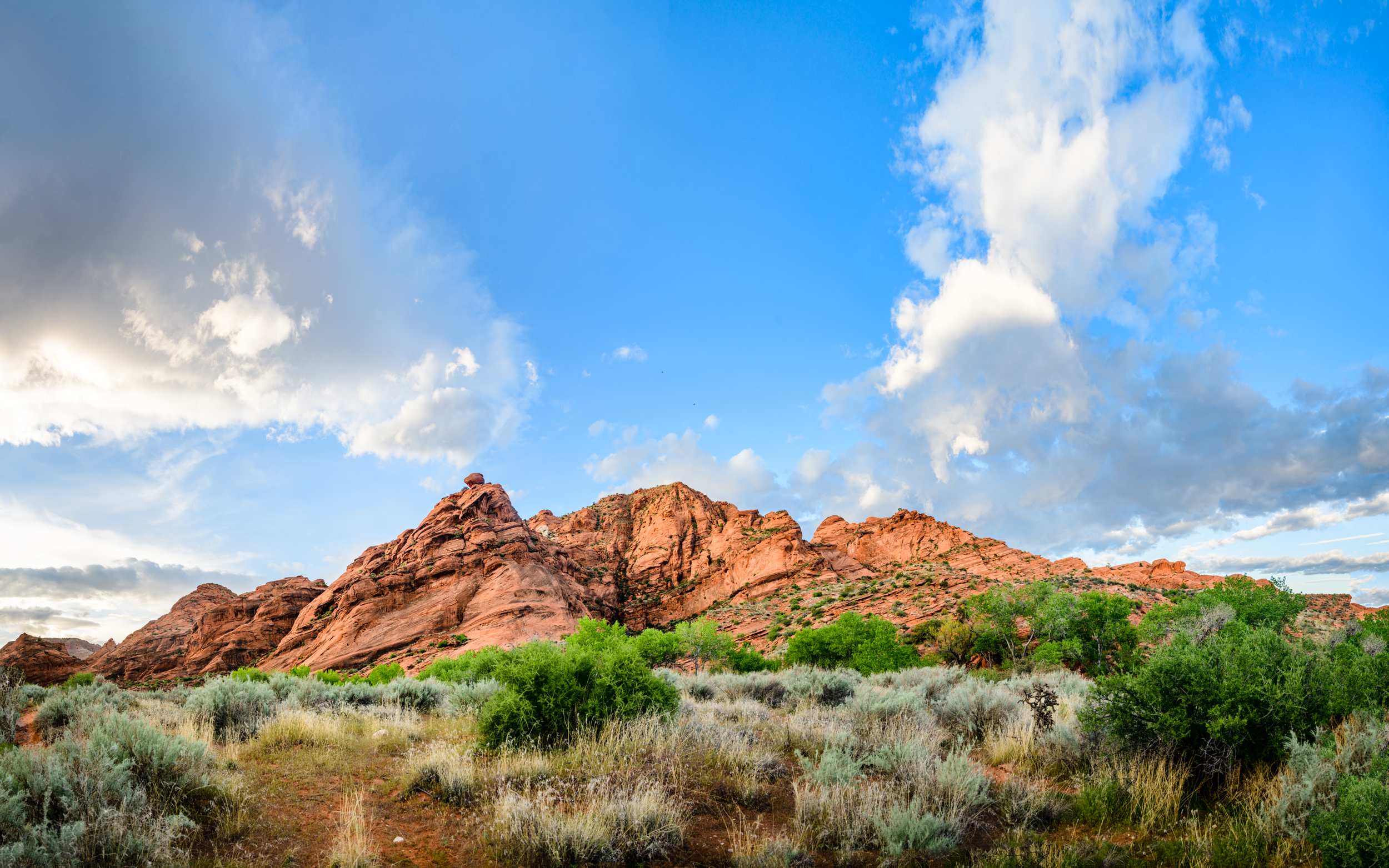 9010_85J8627Pano.jpg
