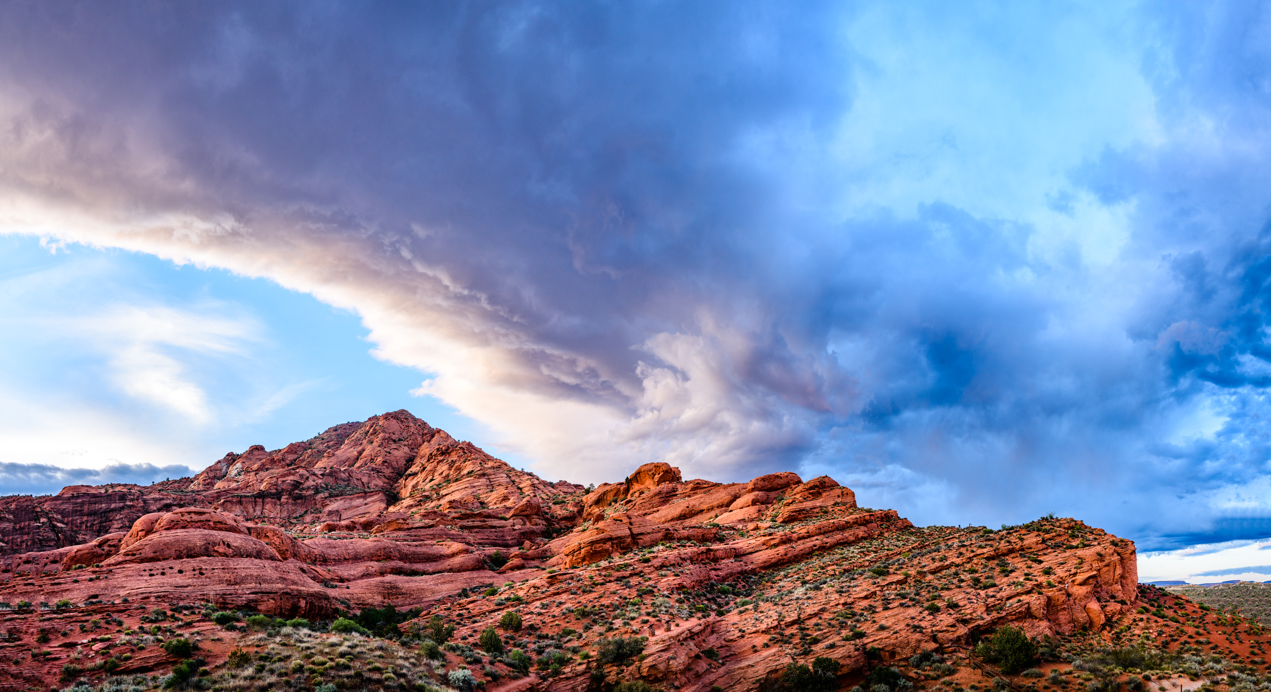 9014_85J8804Pano.jpg