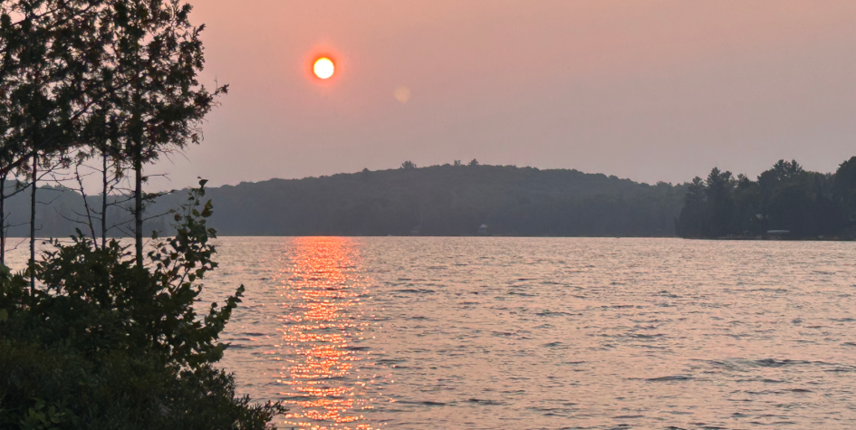 blog_headersimage_2_aug7.png