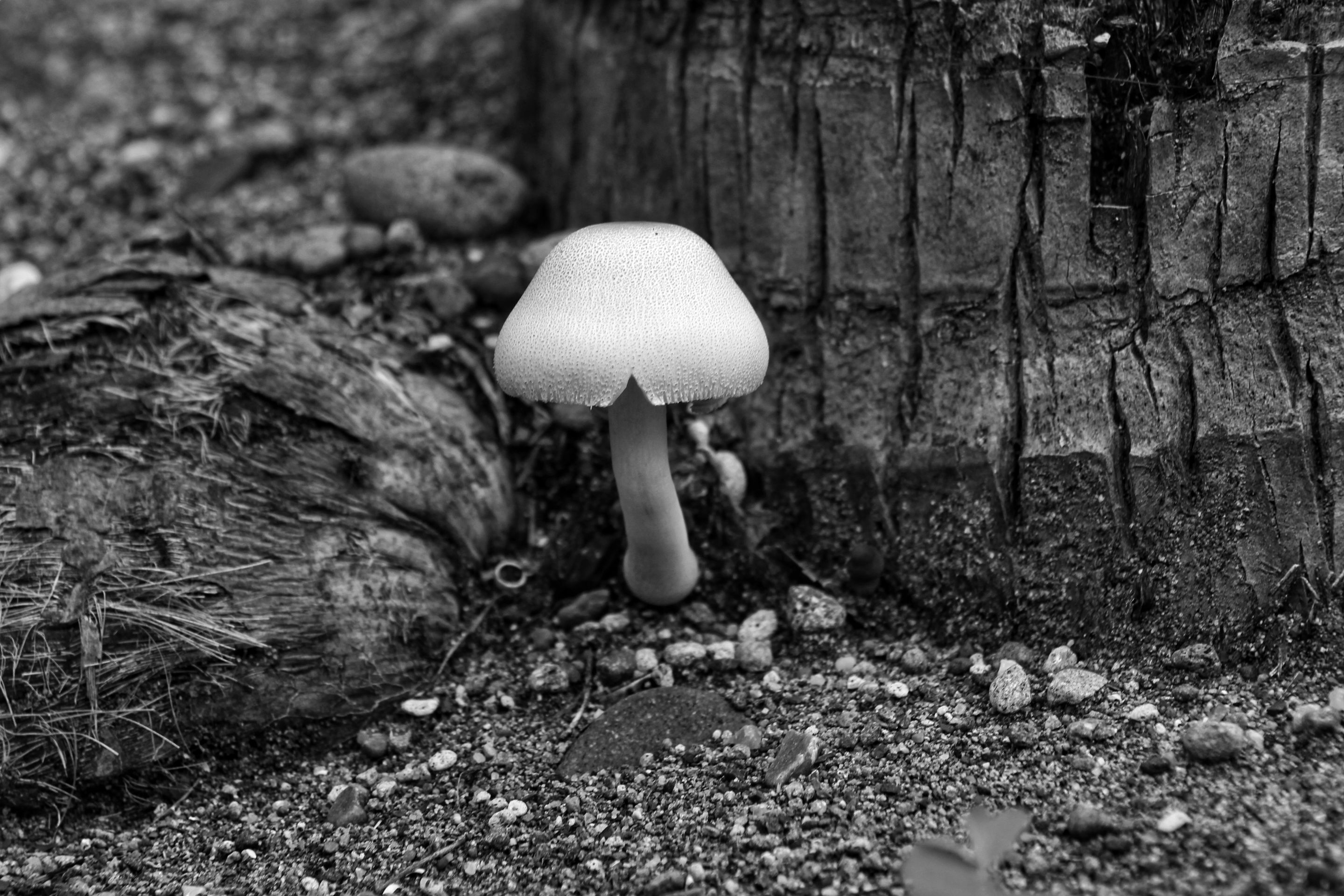 IMG_5096-01.jpeg