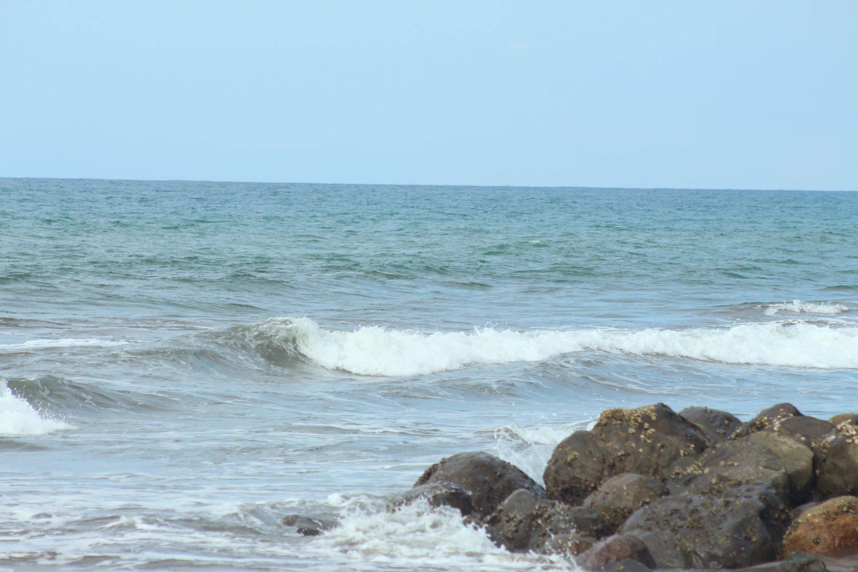 IMG_9554.JPG
