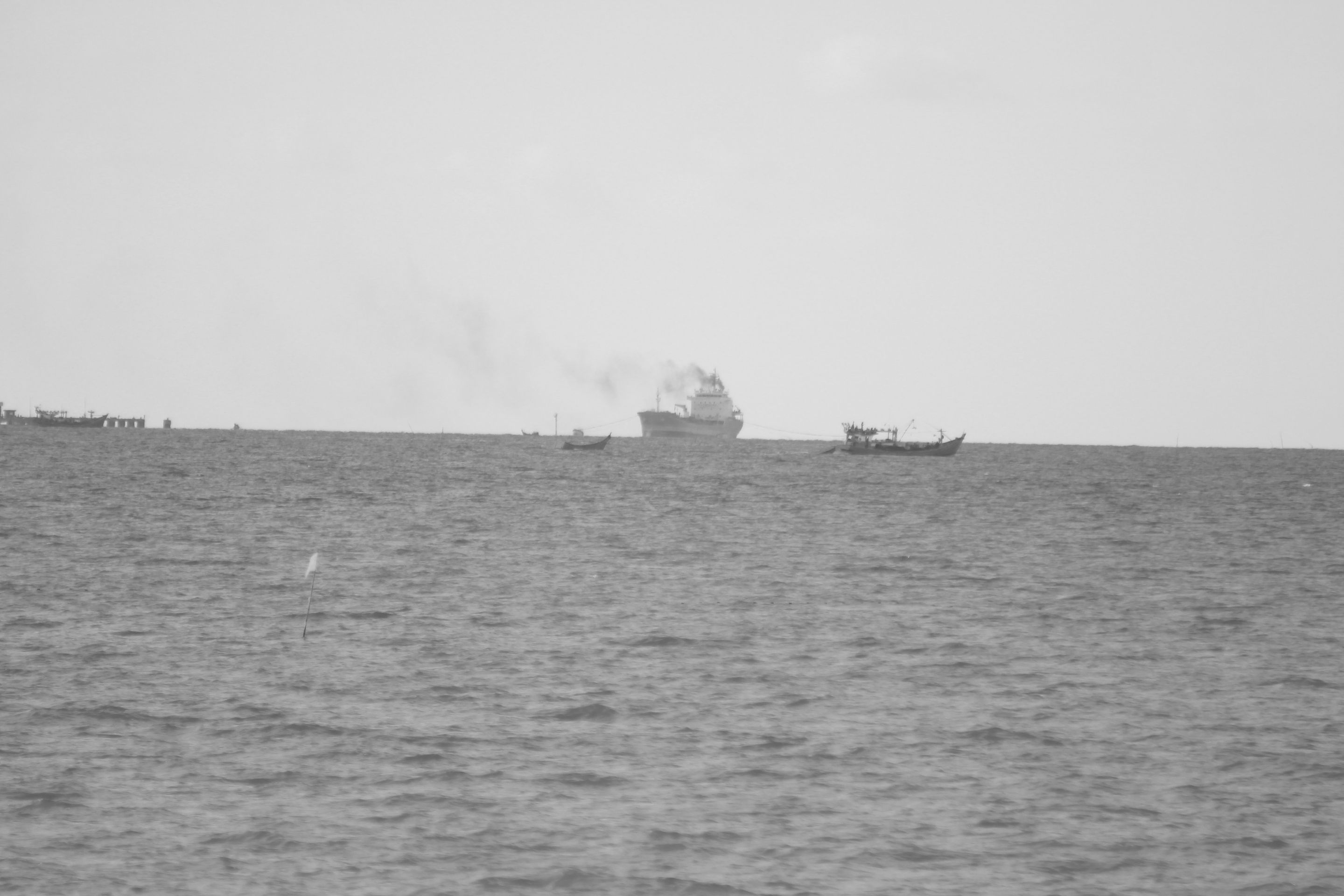 IMG_7070.JPG
