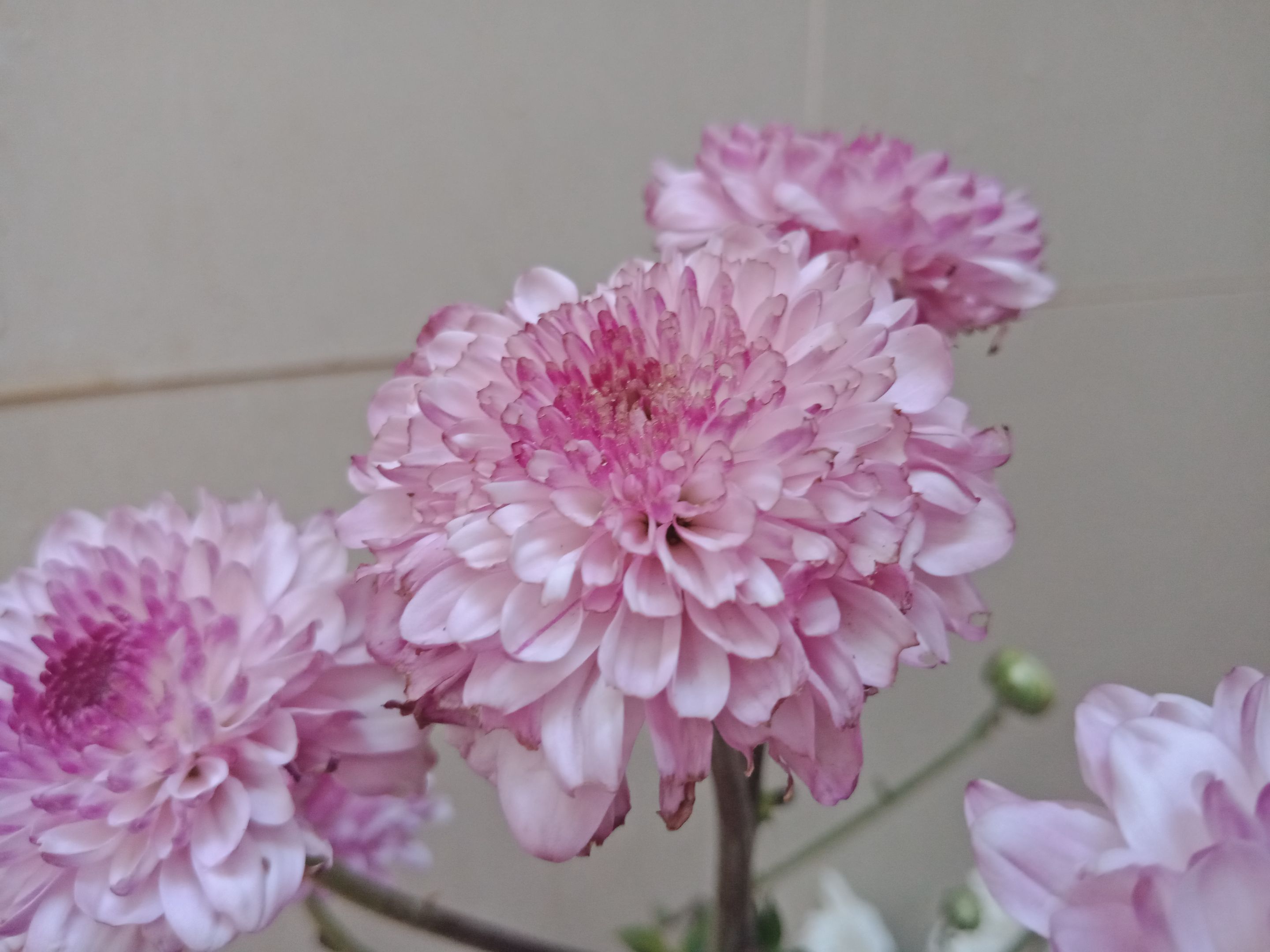 IMG20230628163050.jpg