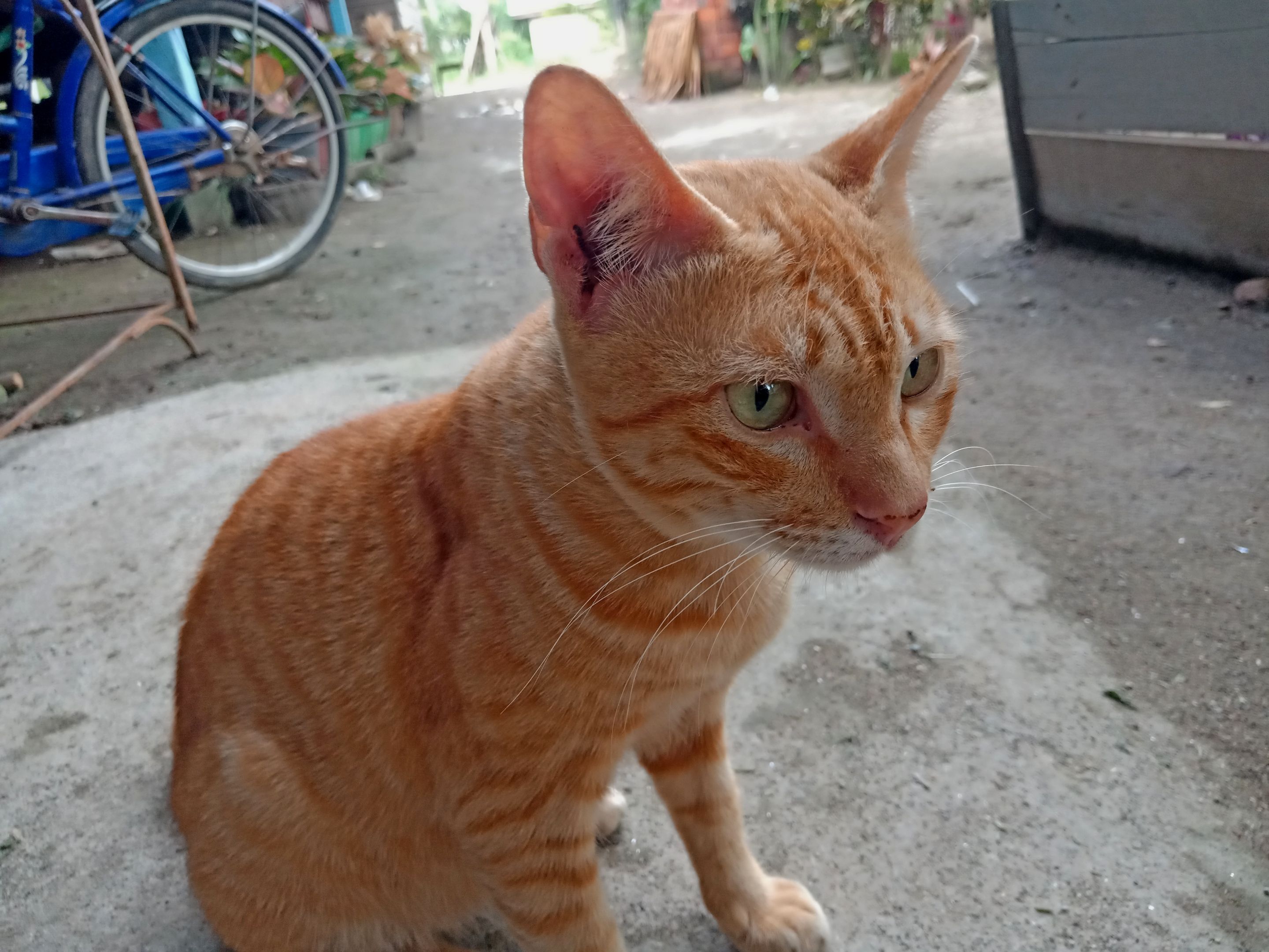IMG20230627175838.jpg