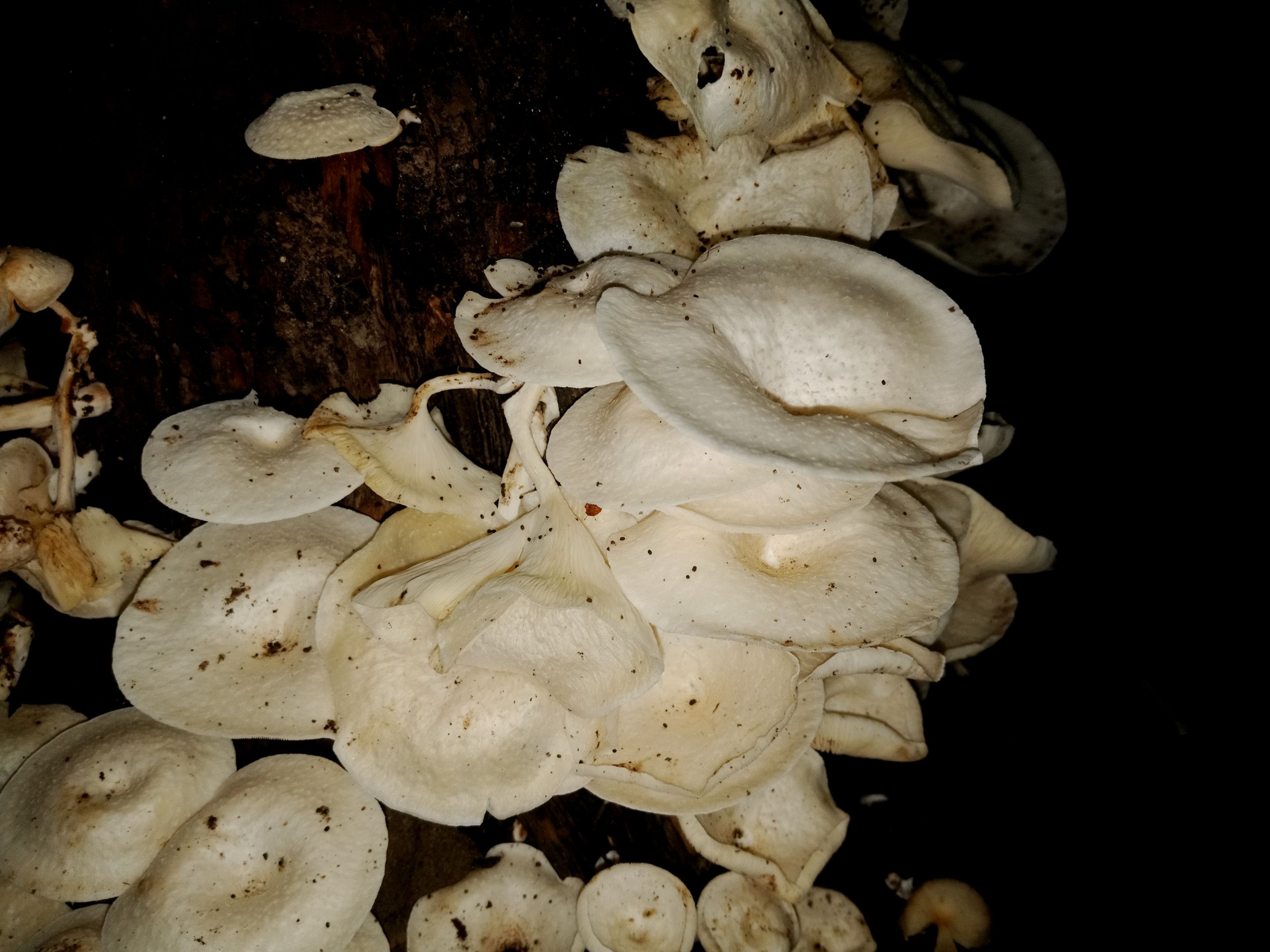 IMG20221215231639.jpg