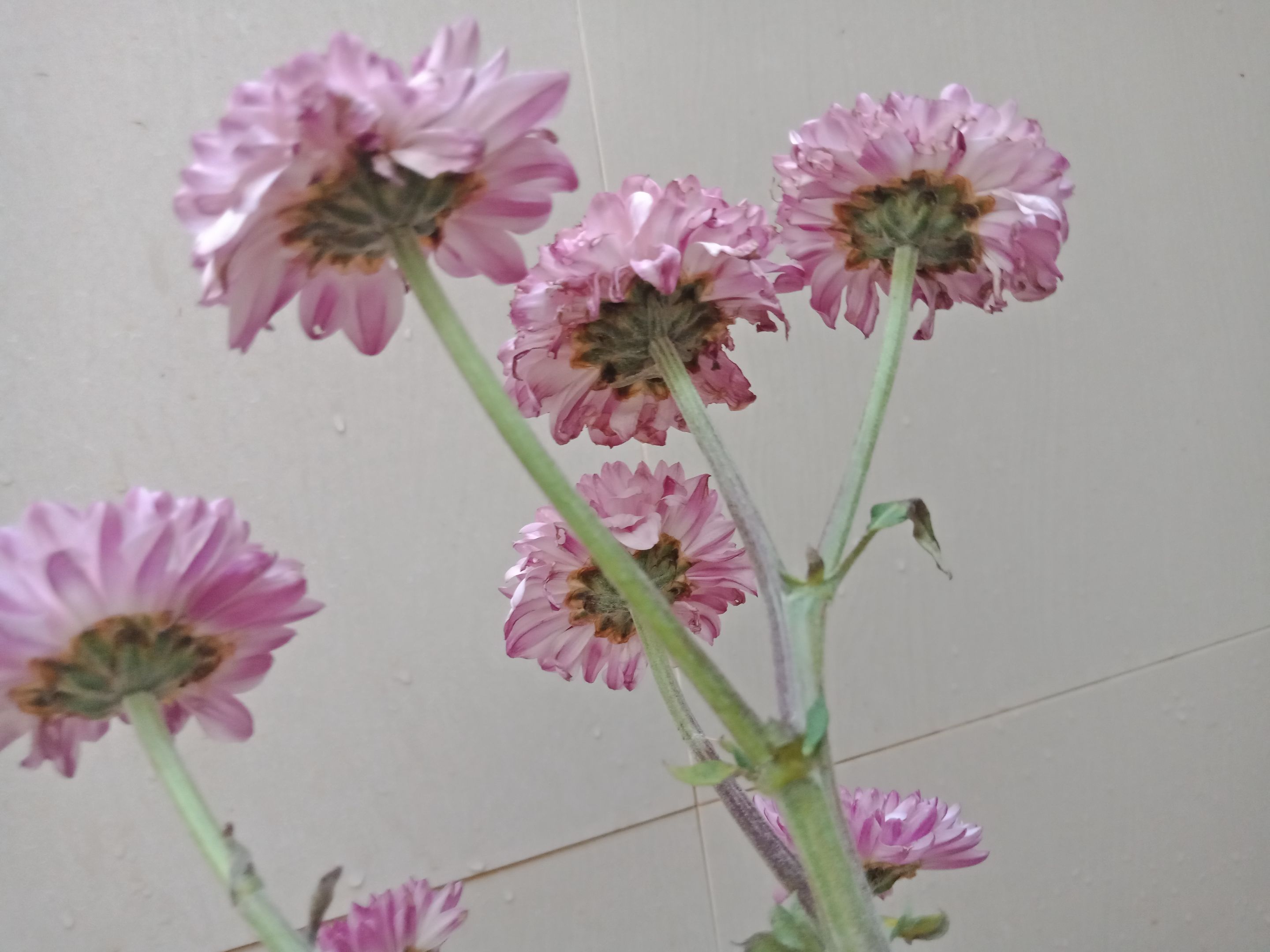 IMG20230628163040.jpg