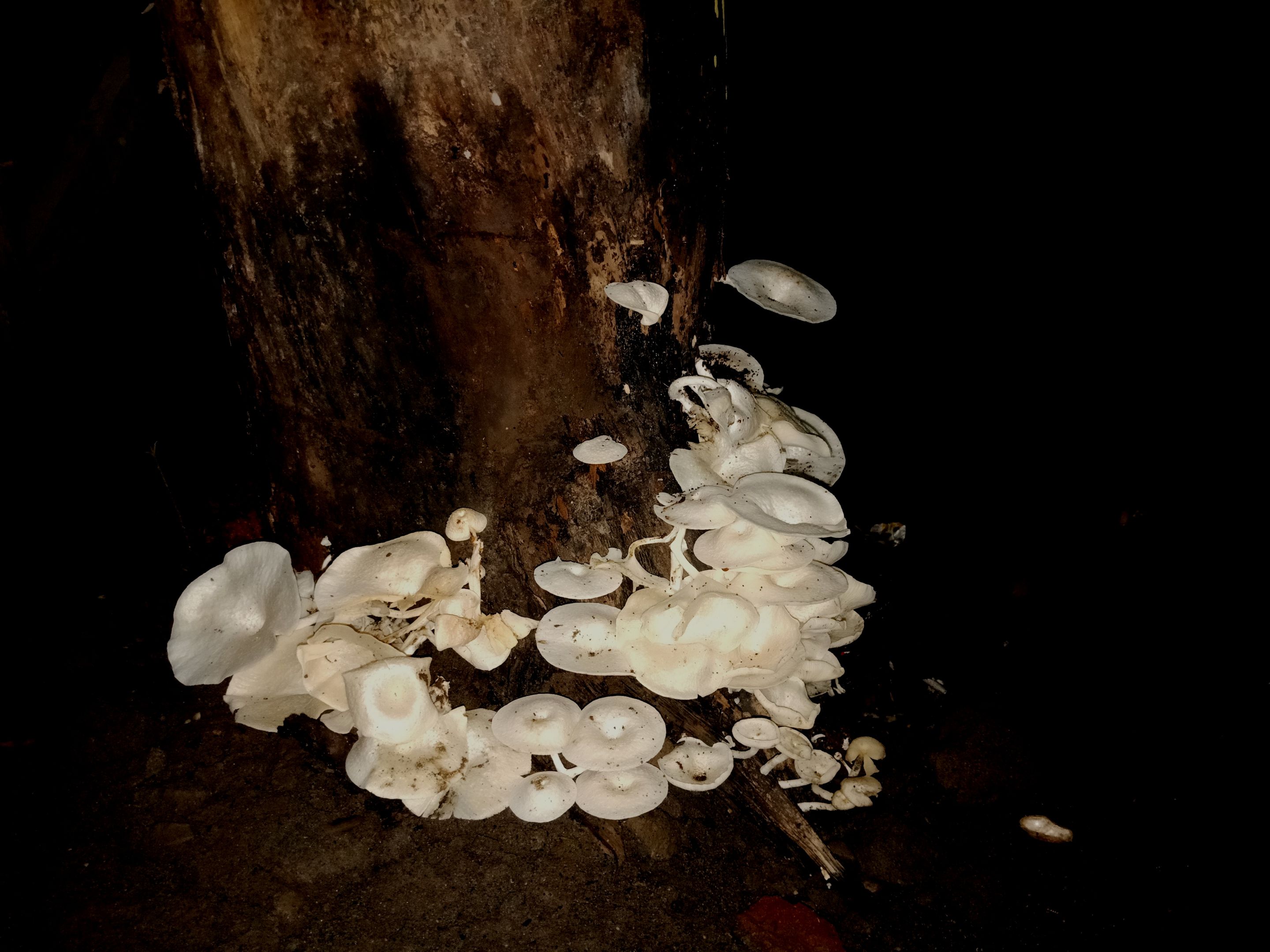 IMG20221215232530.jpg