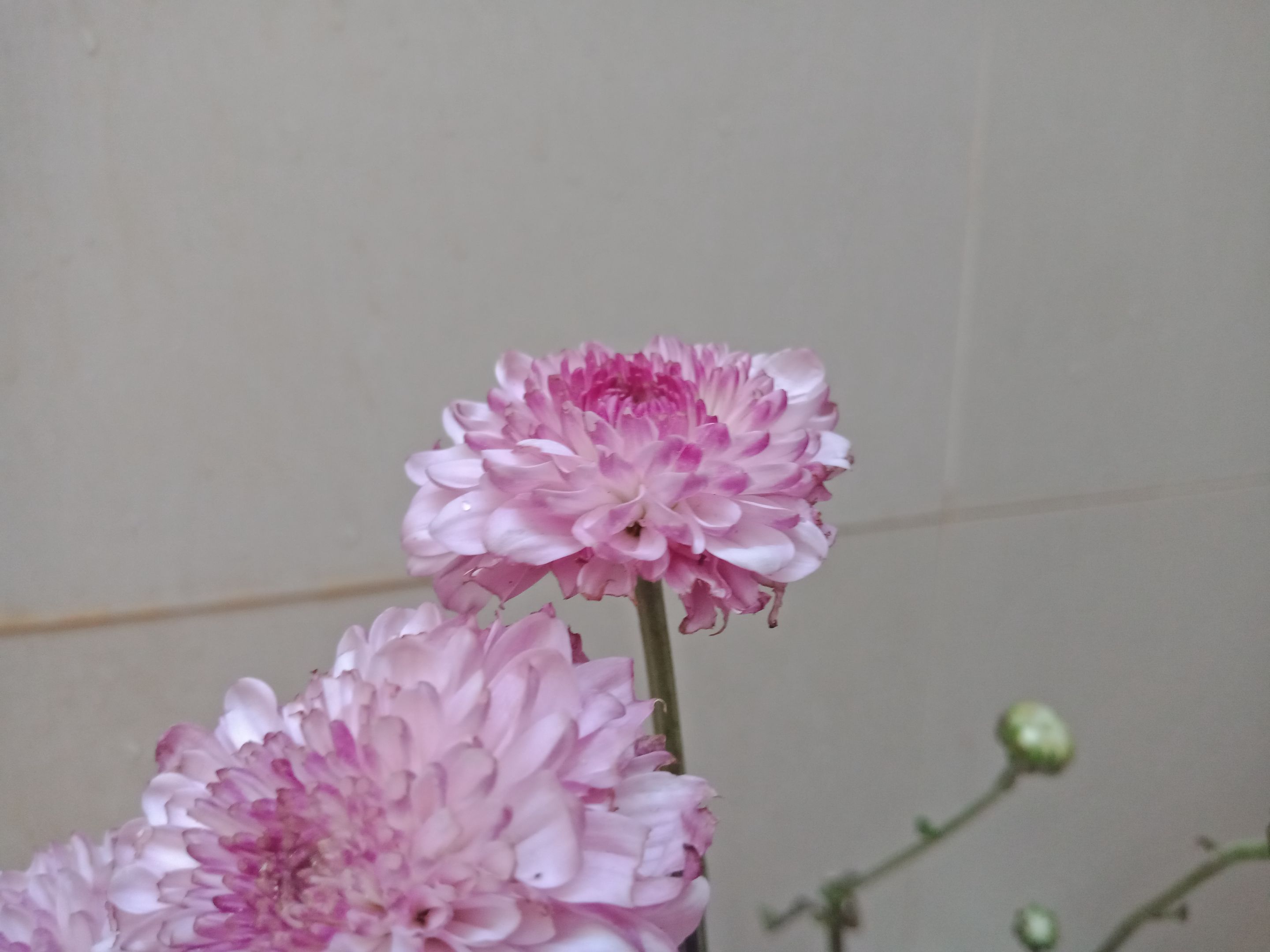 IMG20230628163119.jpg