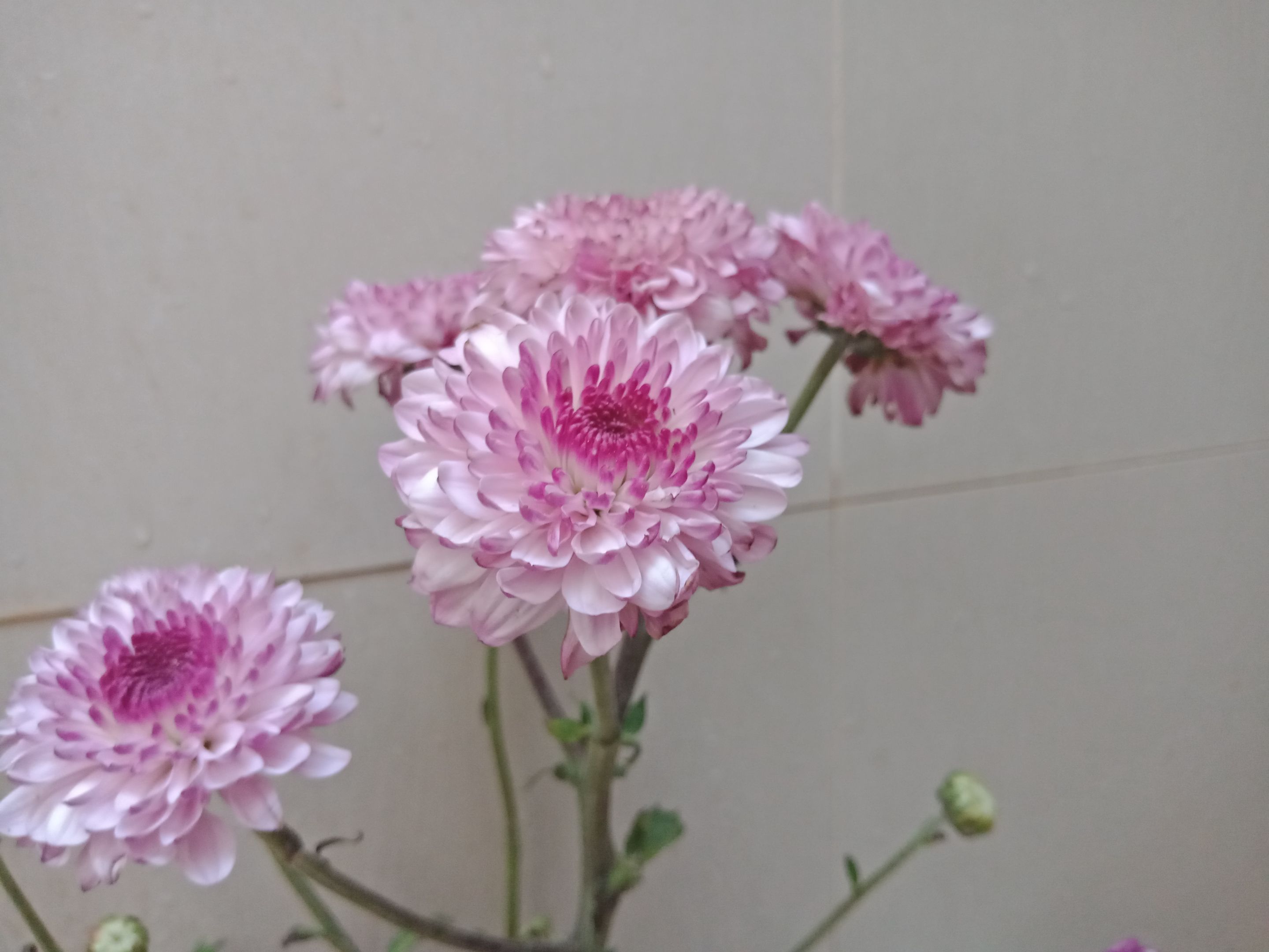 IMG20230628163036.jpg
