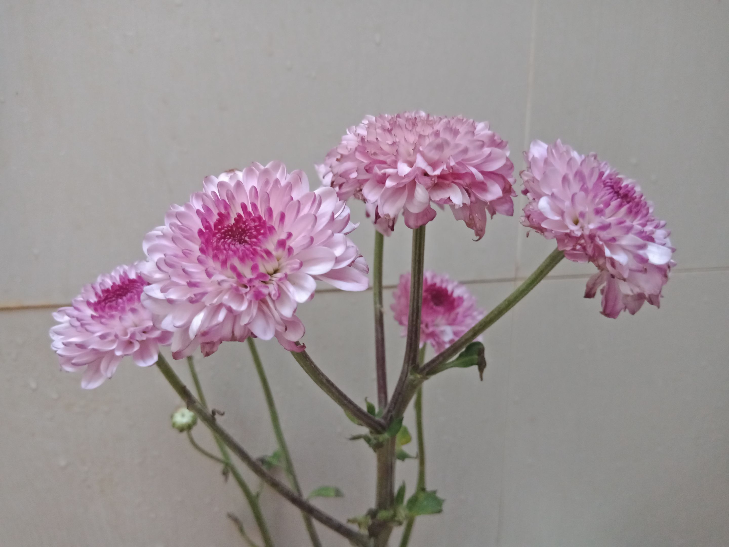 IMG20230628163033.jpg