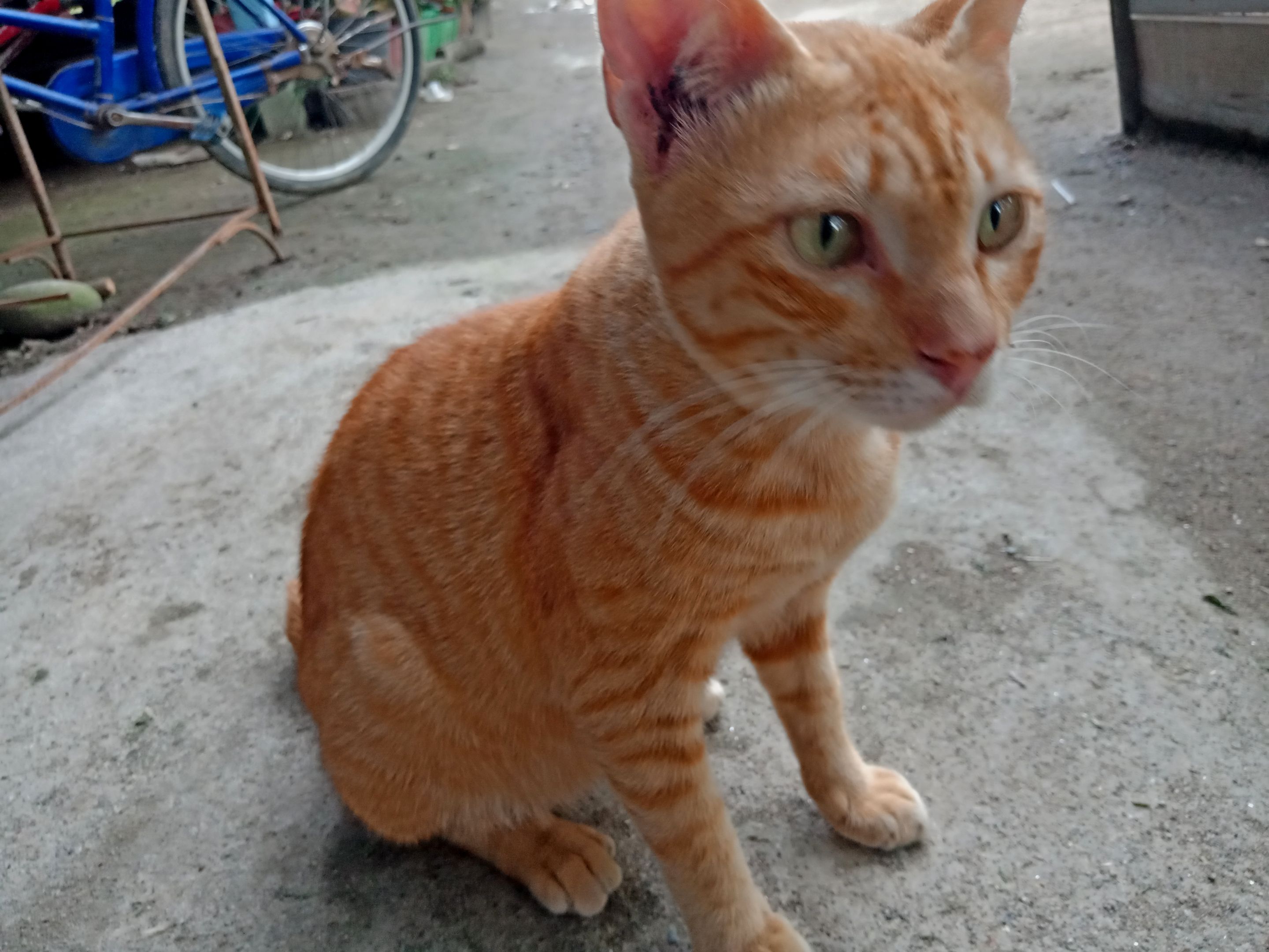 IMG20230627175836.jpg