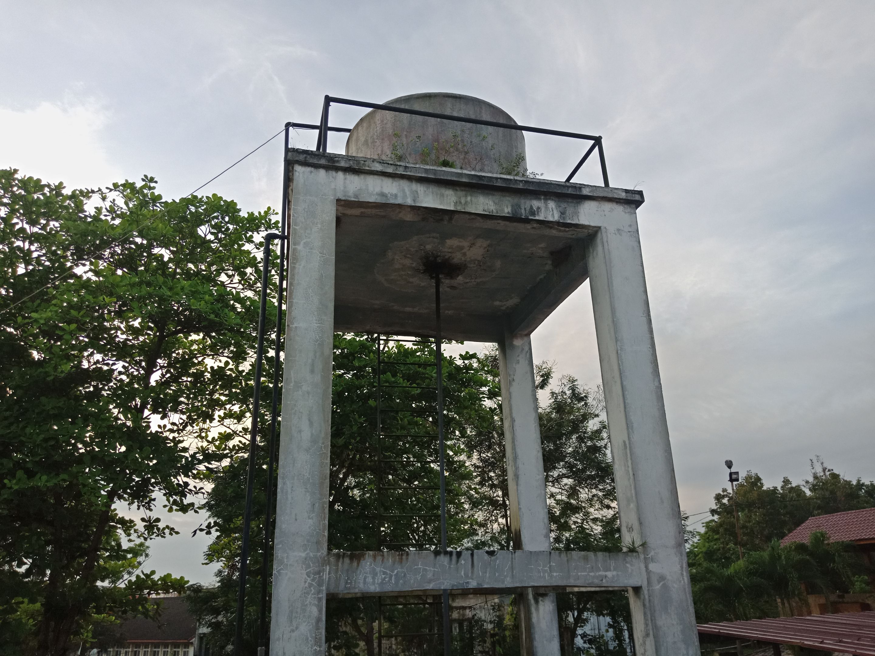 IMG20230212071332.jpg